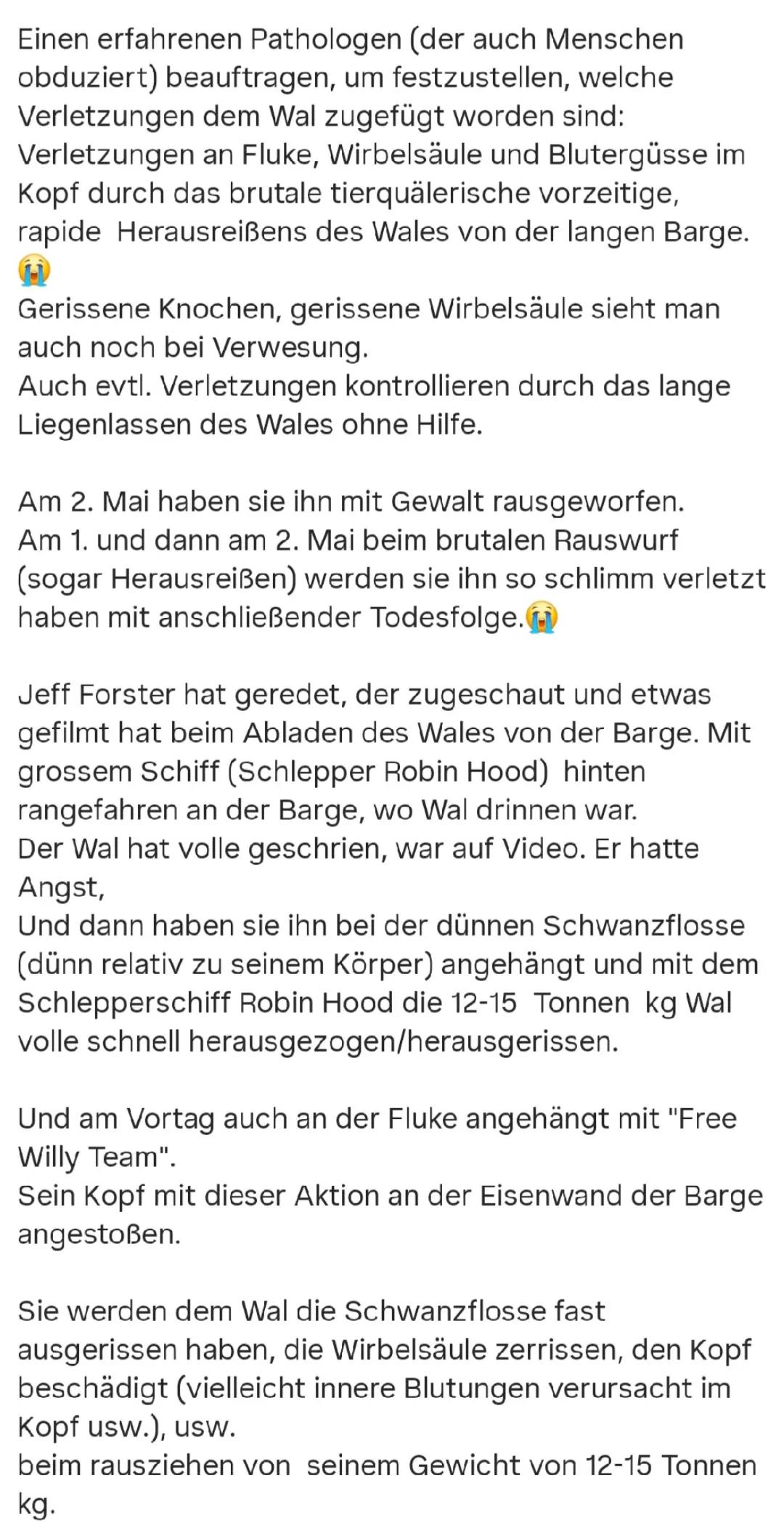 @Stimme des Meeres💙