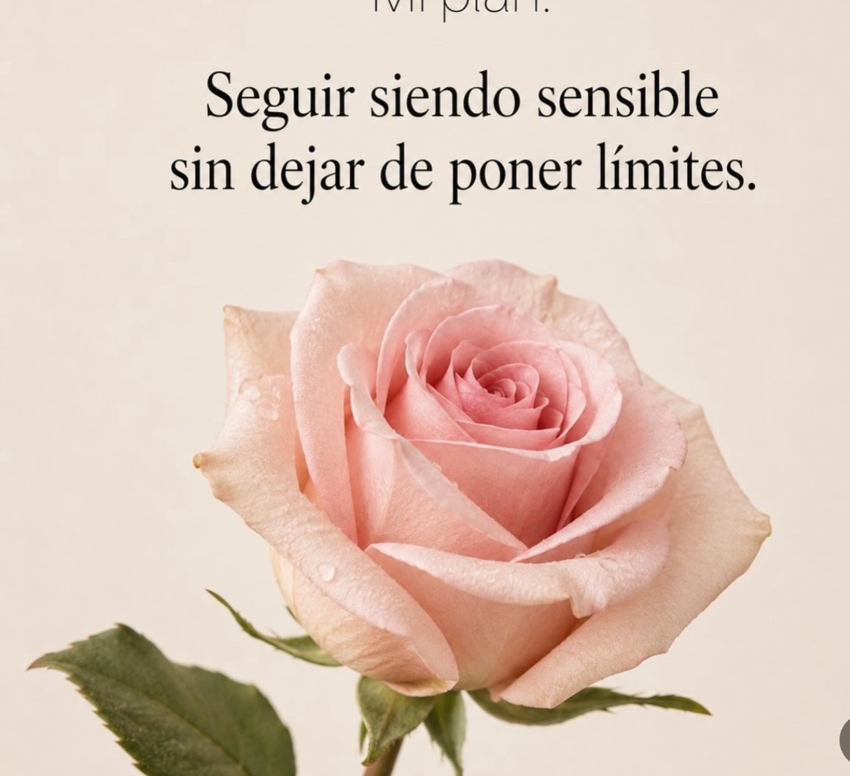 @Cllara f p.