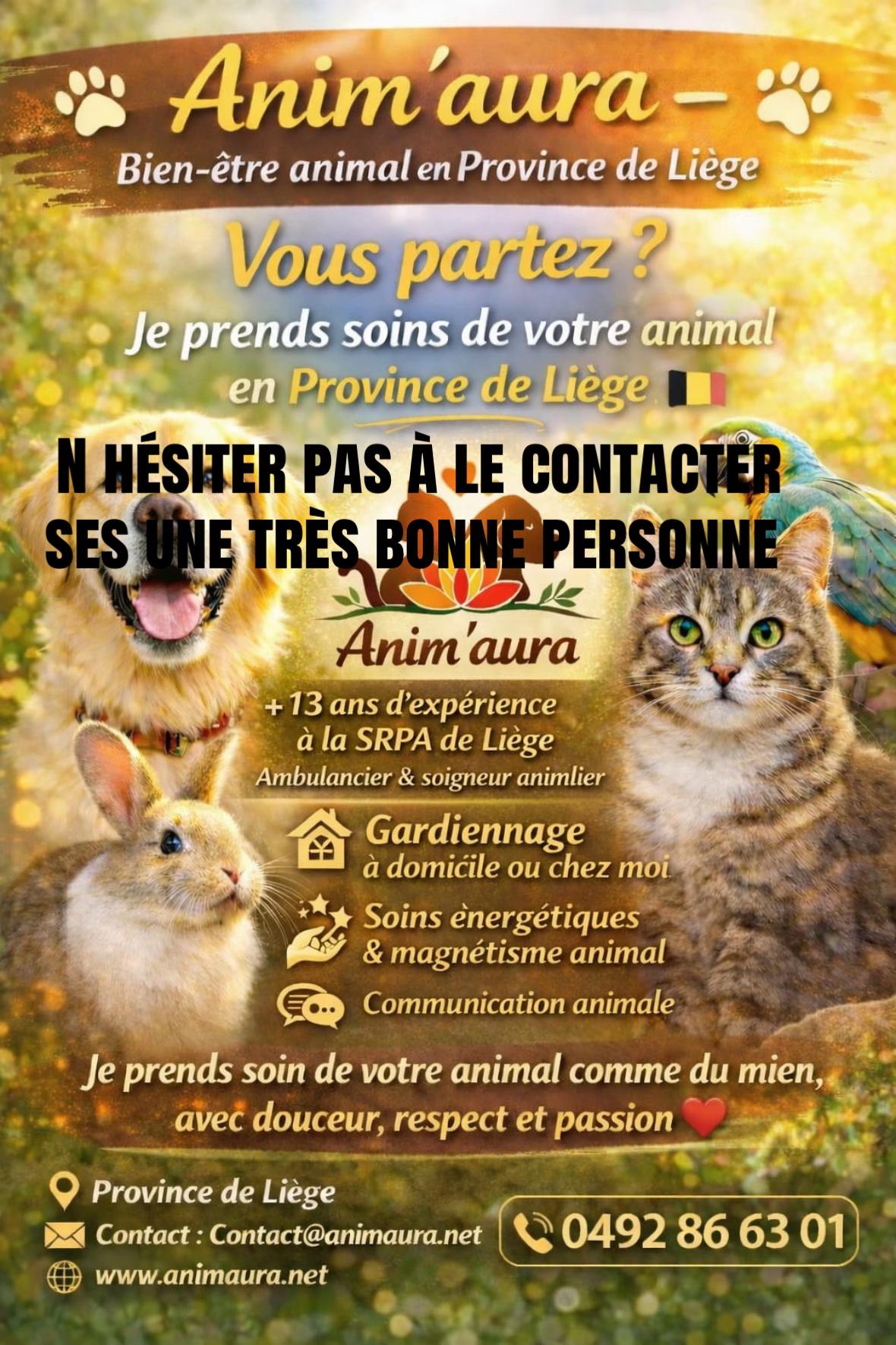 @😻petitchat 😻
