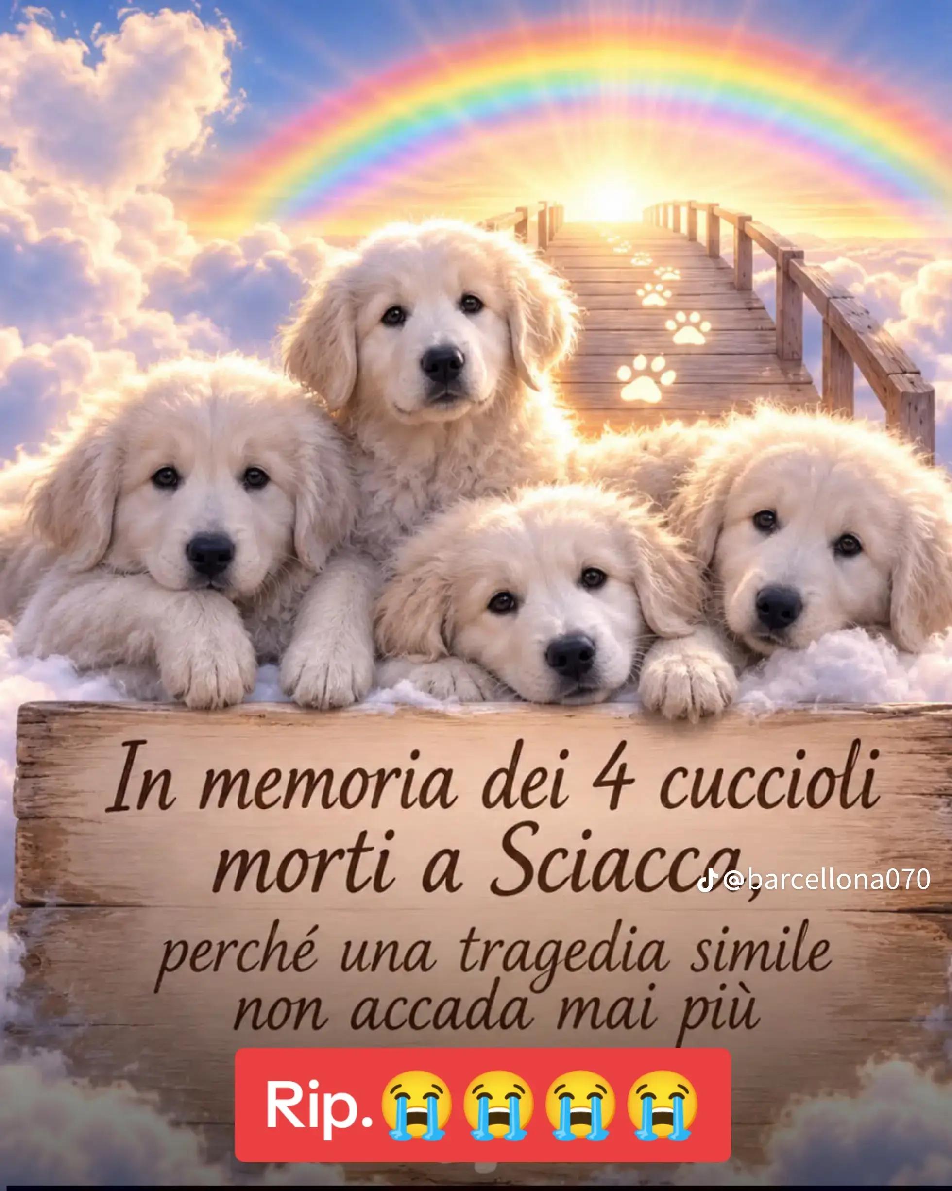 @Tiziano Soriano
