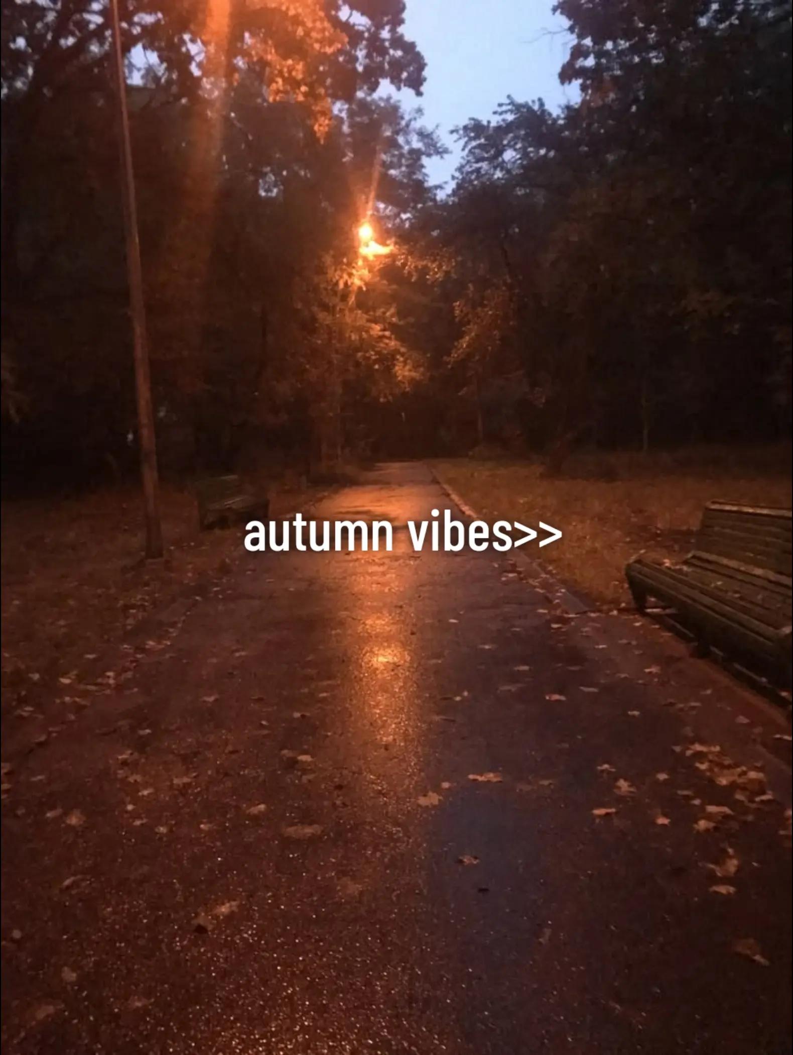 @🩸🅾️Y_L3o🩸