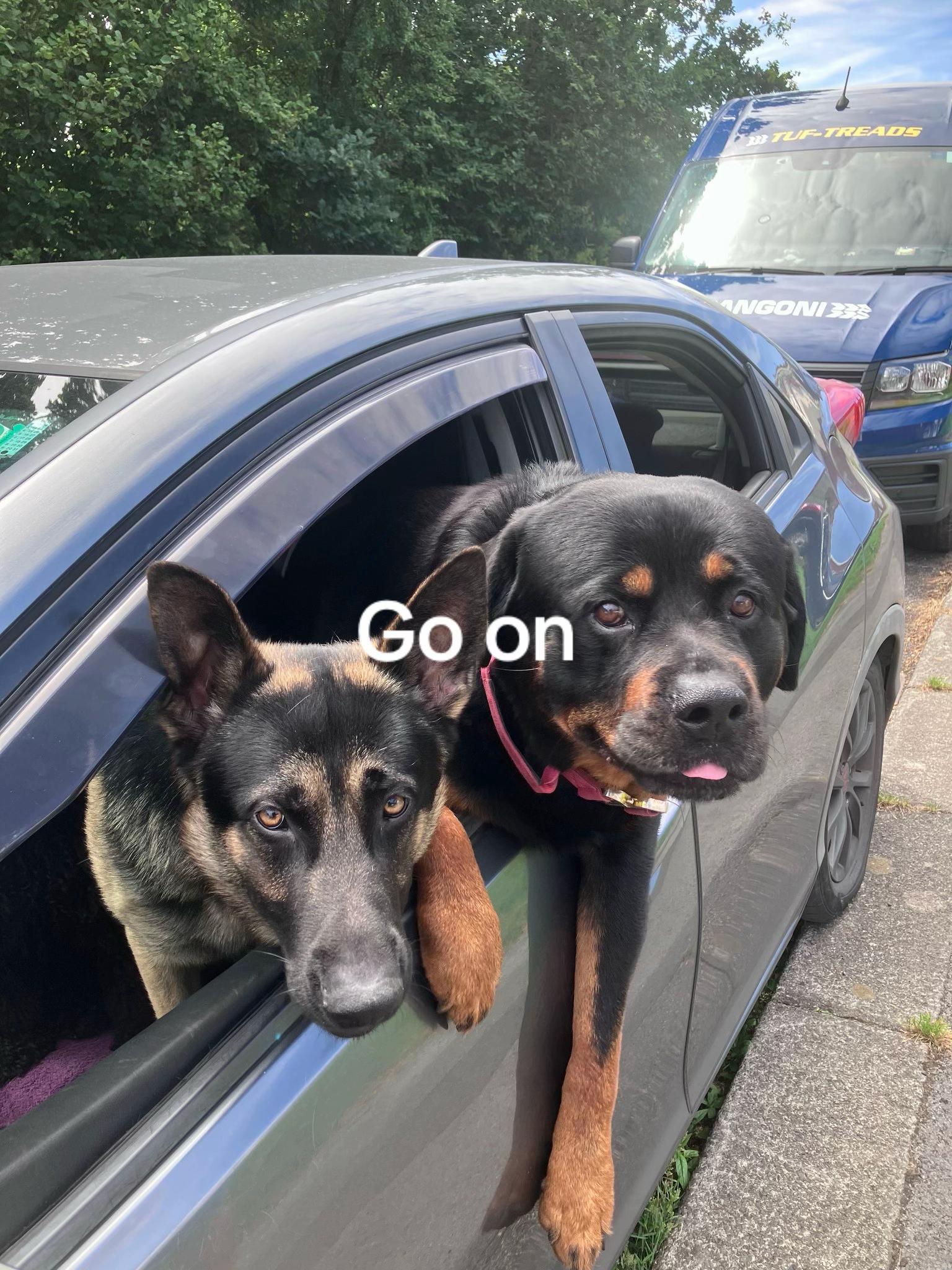 @John Ross