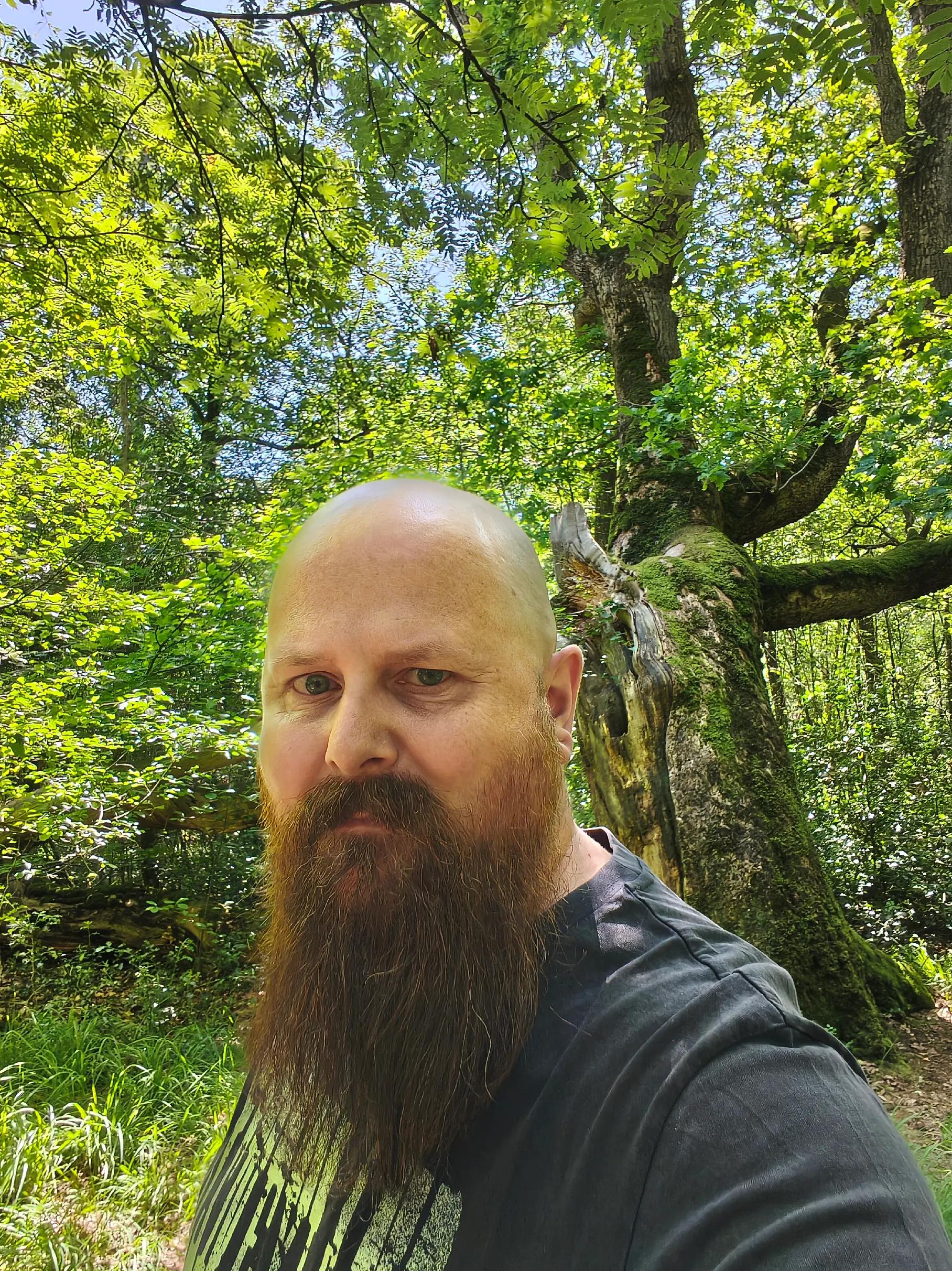 @The bearded norseman 🇩🇰❌️
