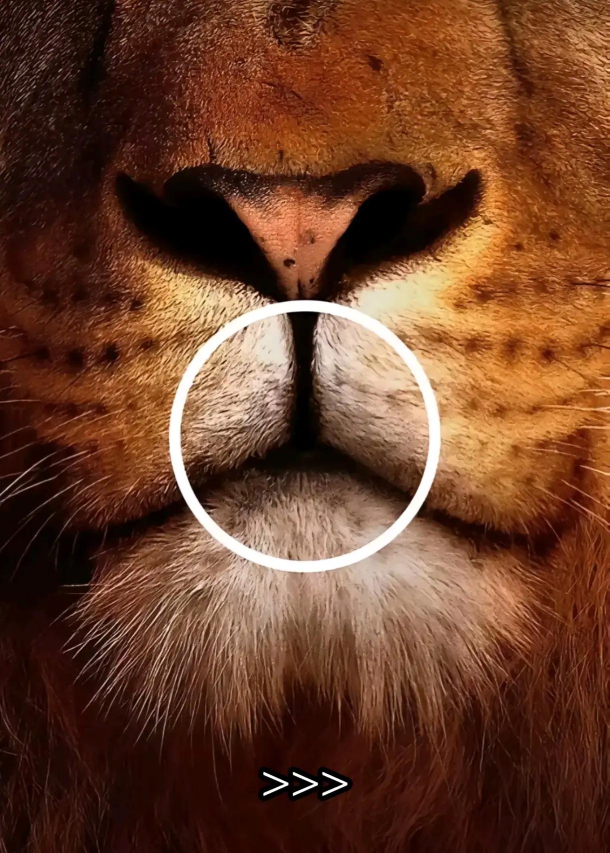 @𝑪𝑳𝑺 𝑪𝑳𝑼𝑩