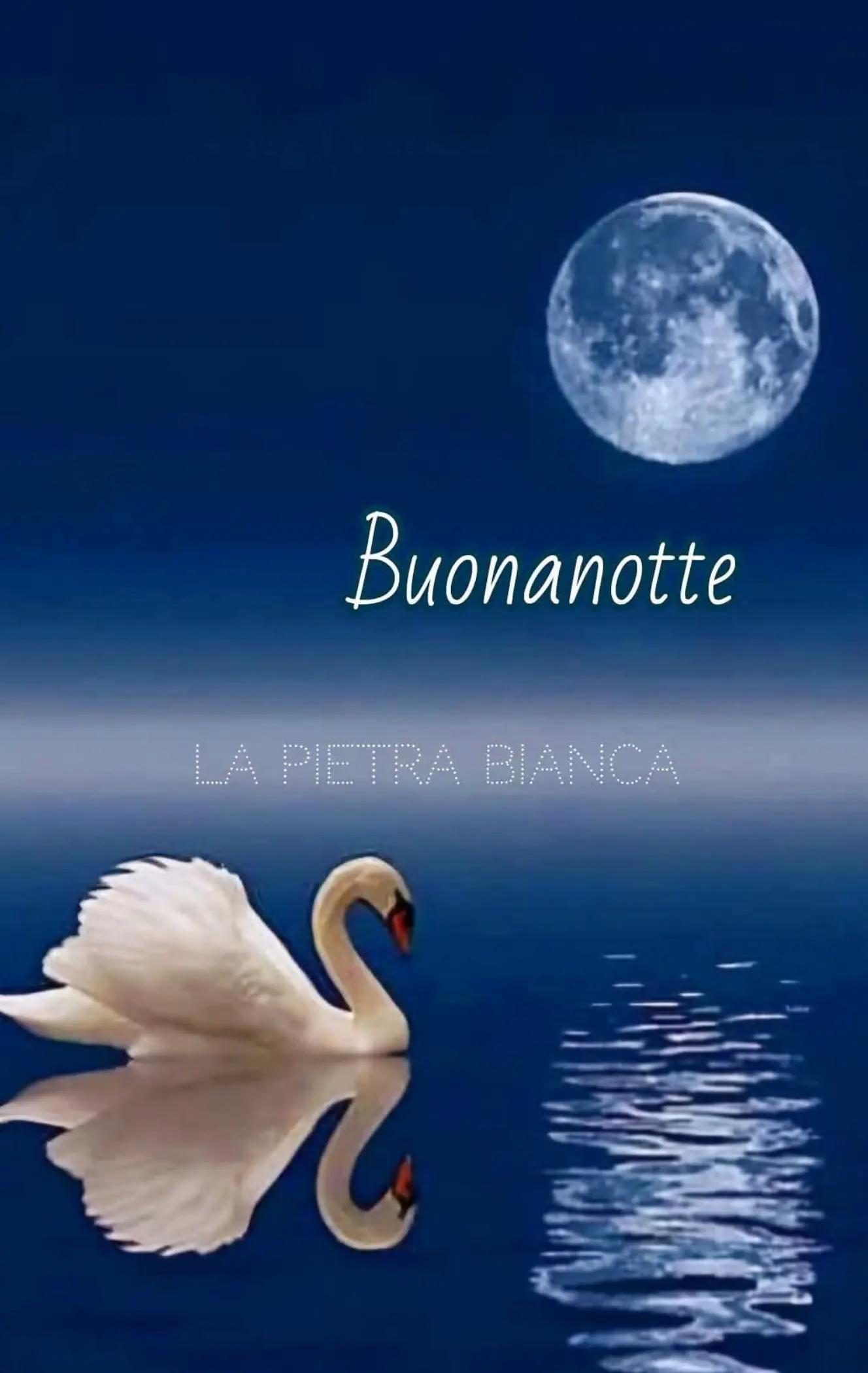 @Giacomokenzietiamo💋