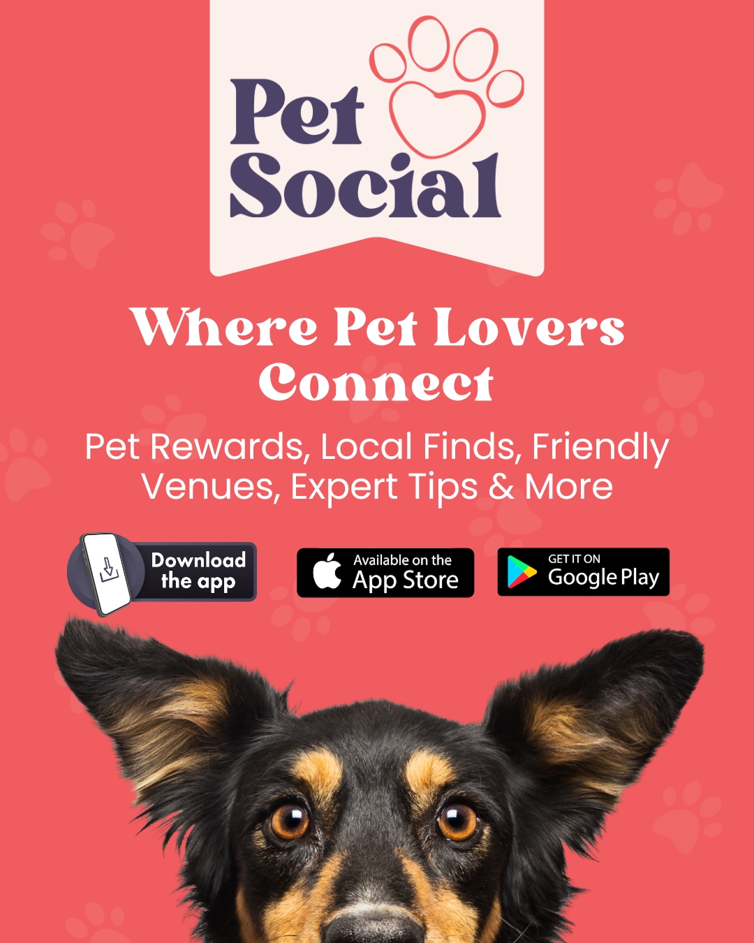 @Pet Social UK