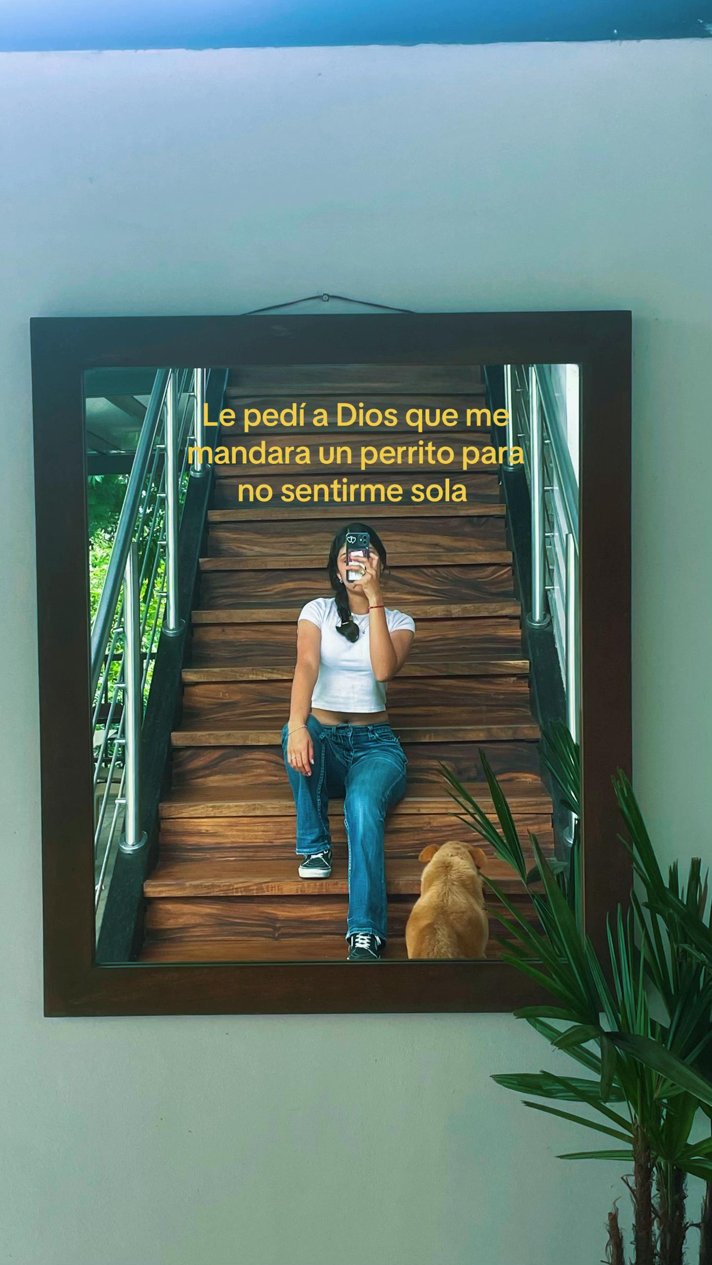 @🔝