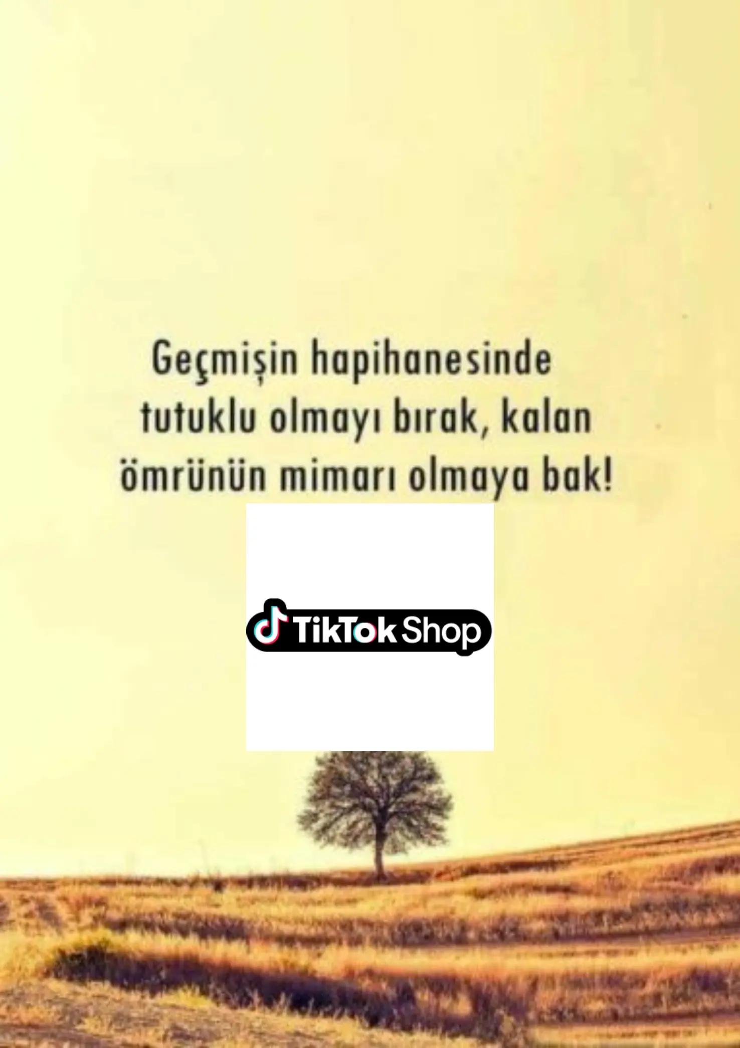 @by mmt
