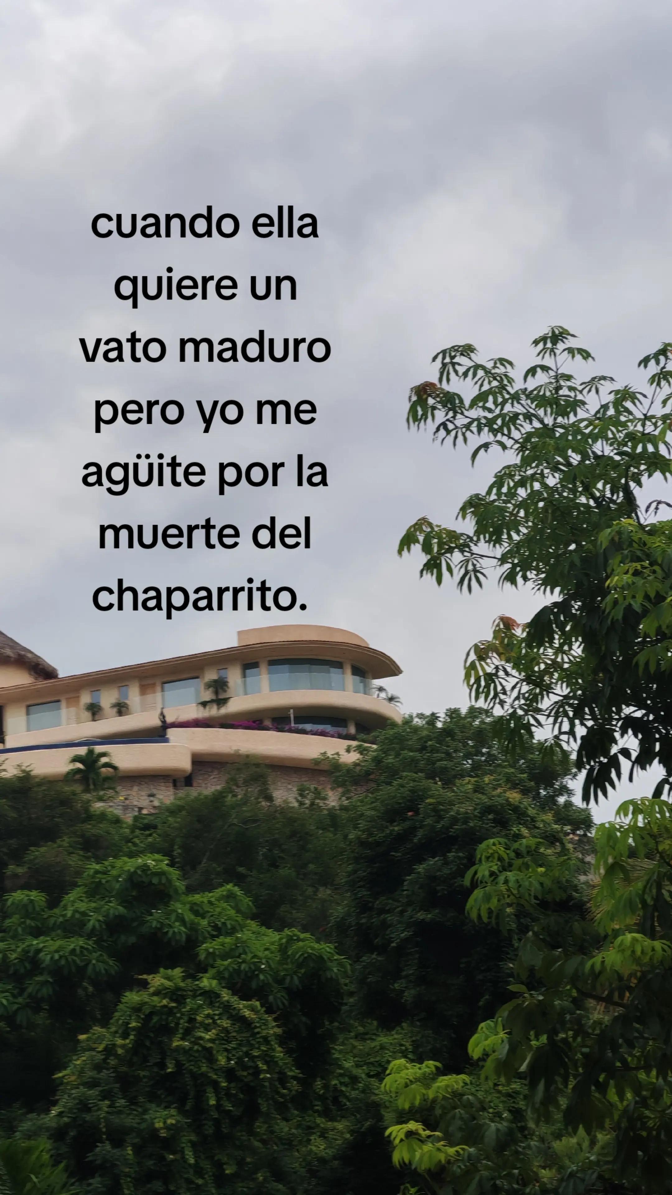 @elber_gonzales999