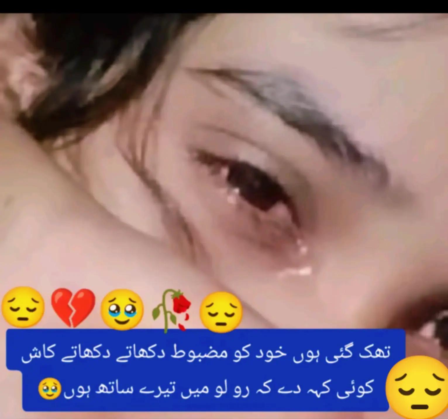 @Hassan Hussain💞