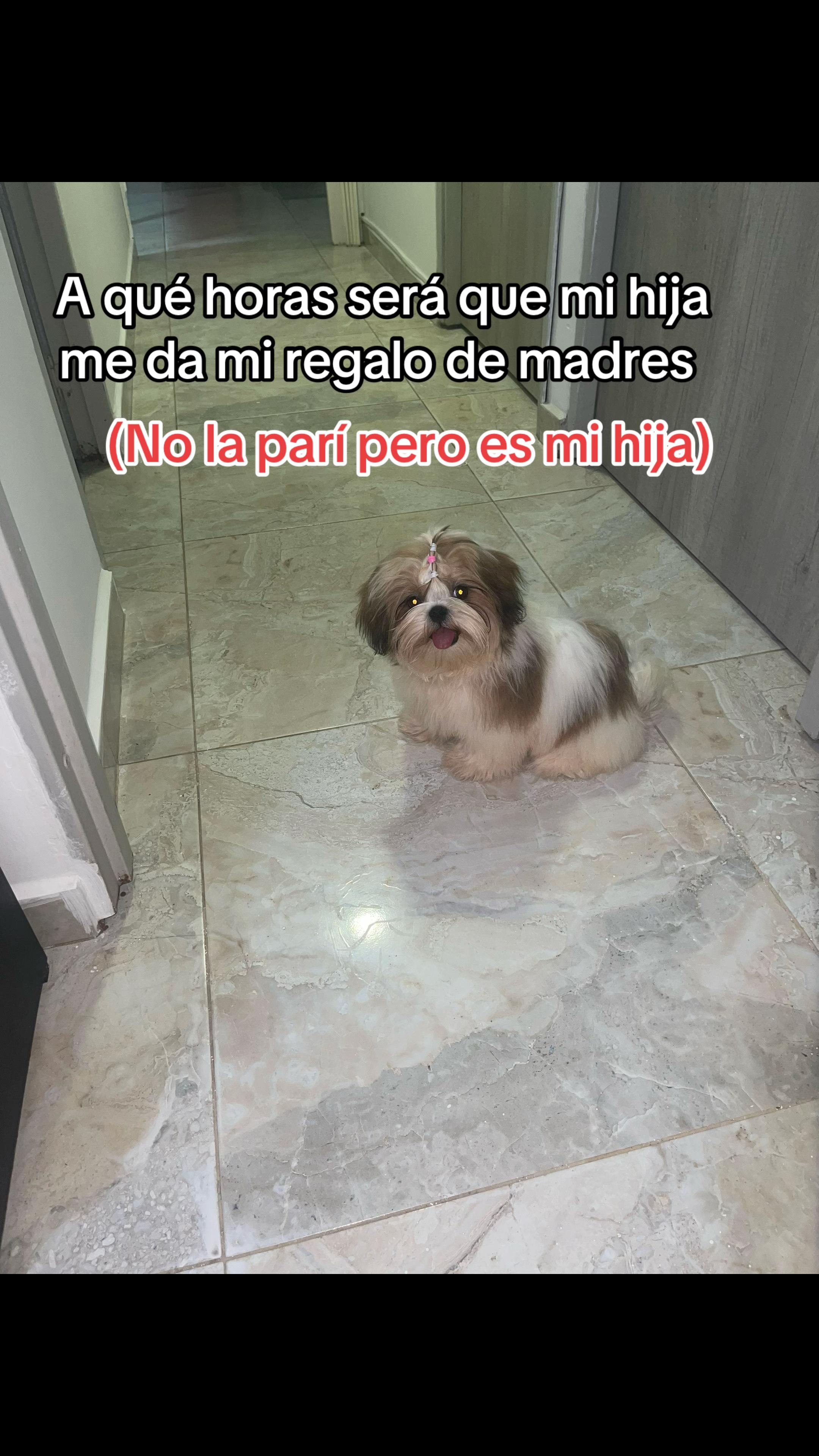 @Valen Araque🌙