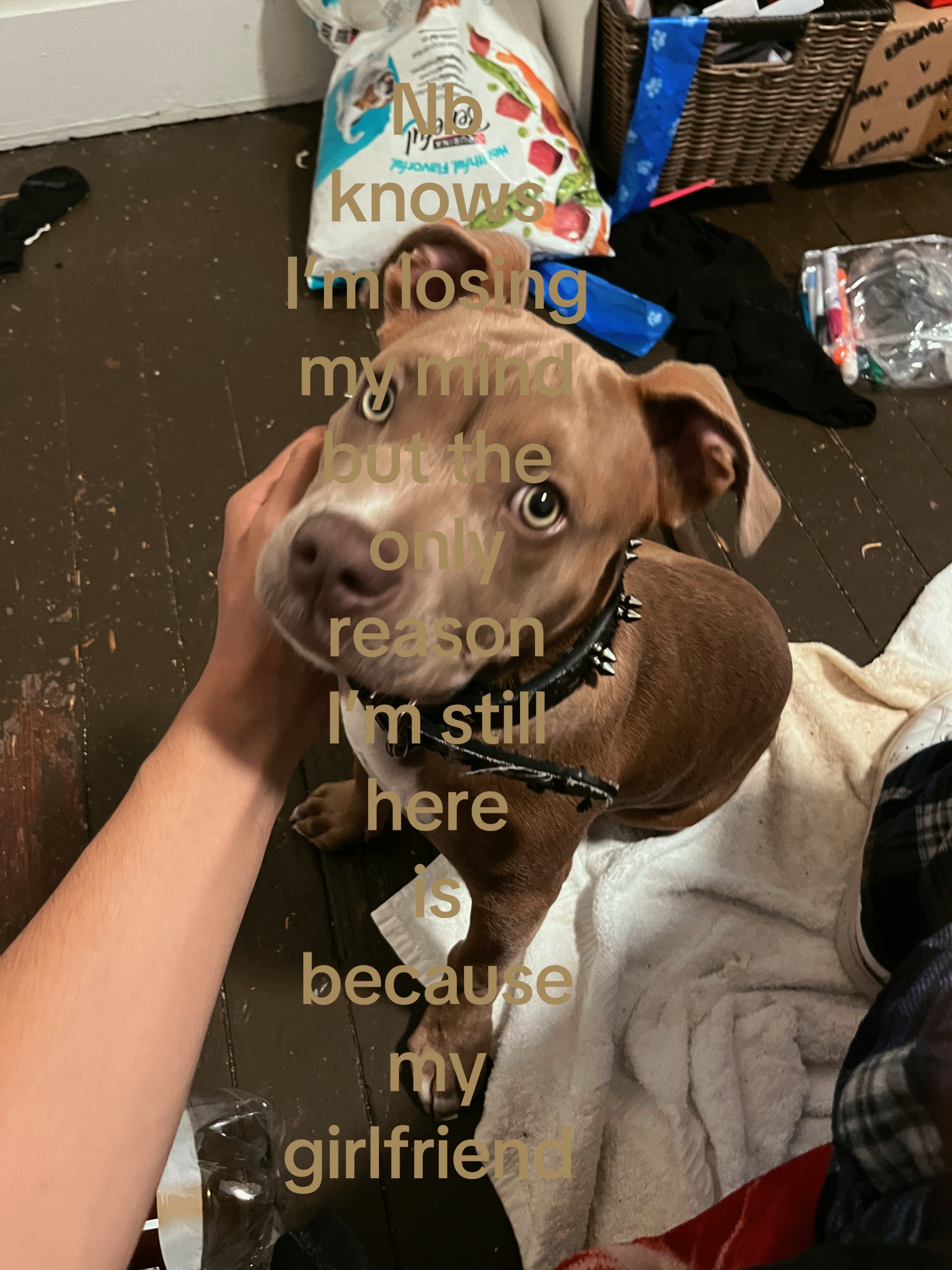 @♦️🐘🐘✝️