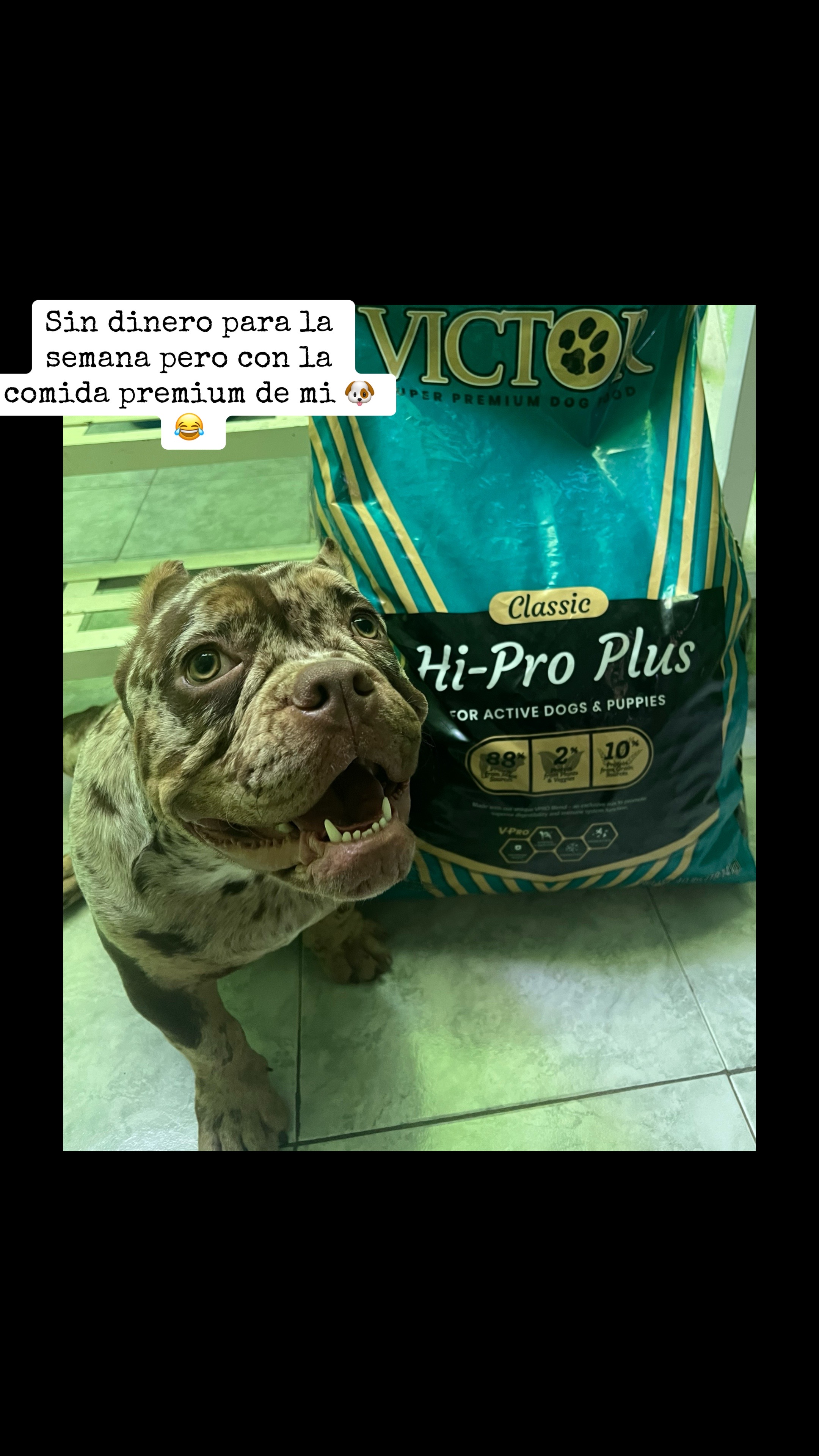 @Ares Santacruz