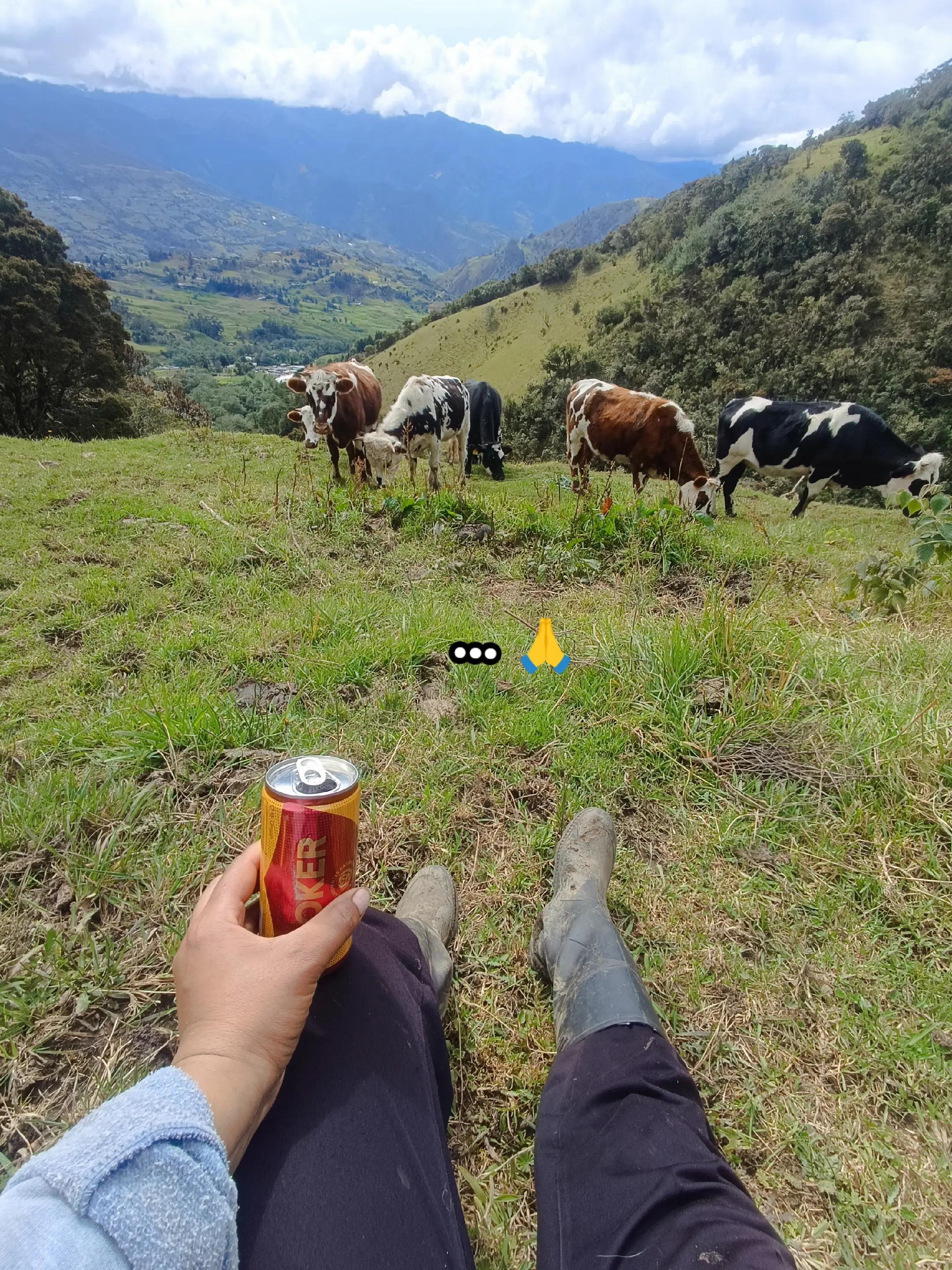 @Merchánneira