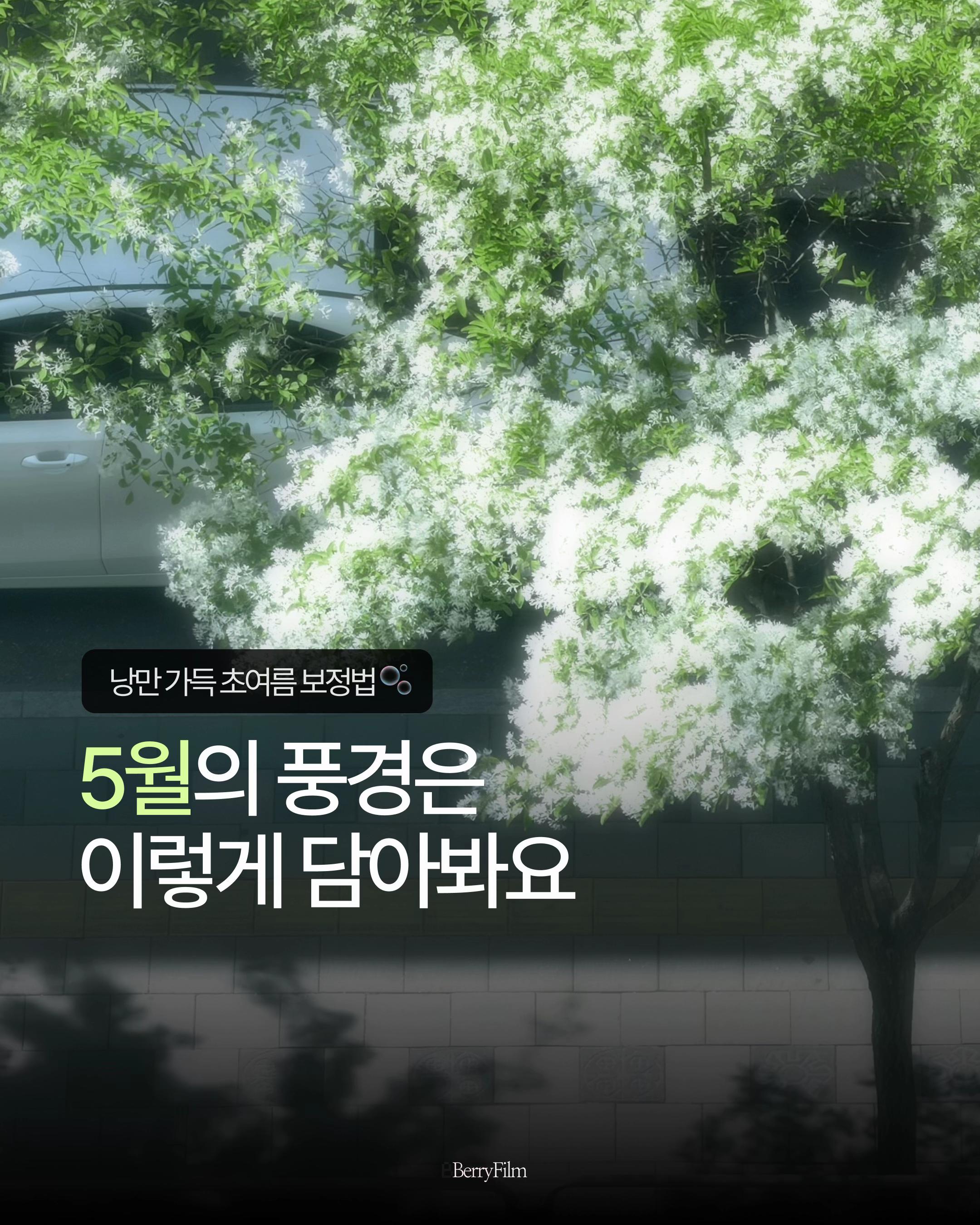 @베리 ベリ🪄