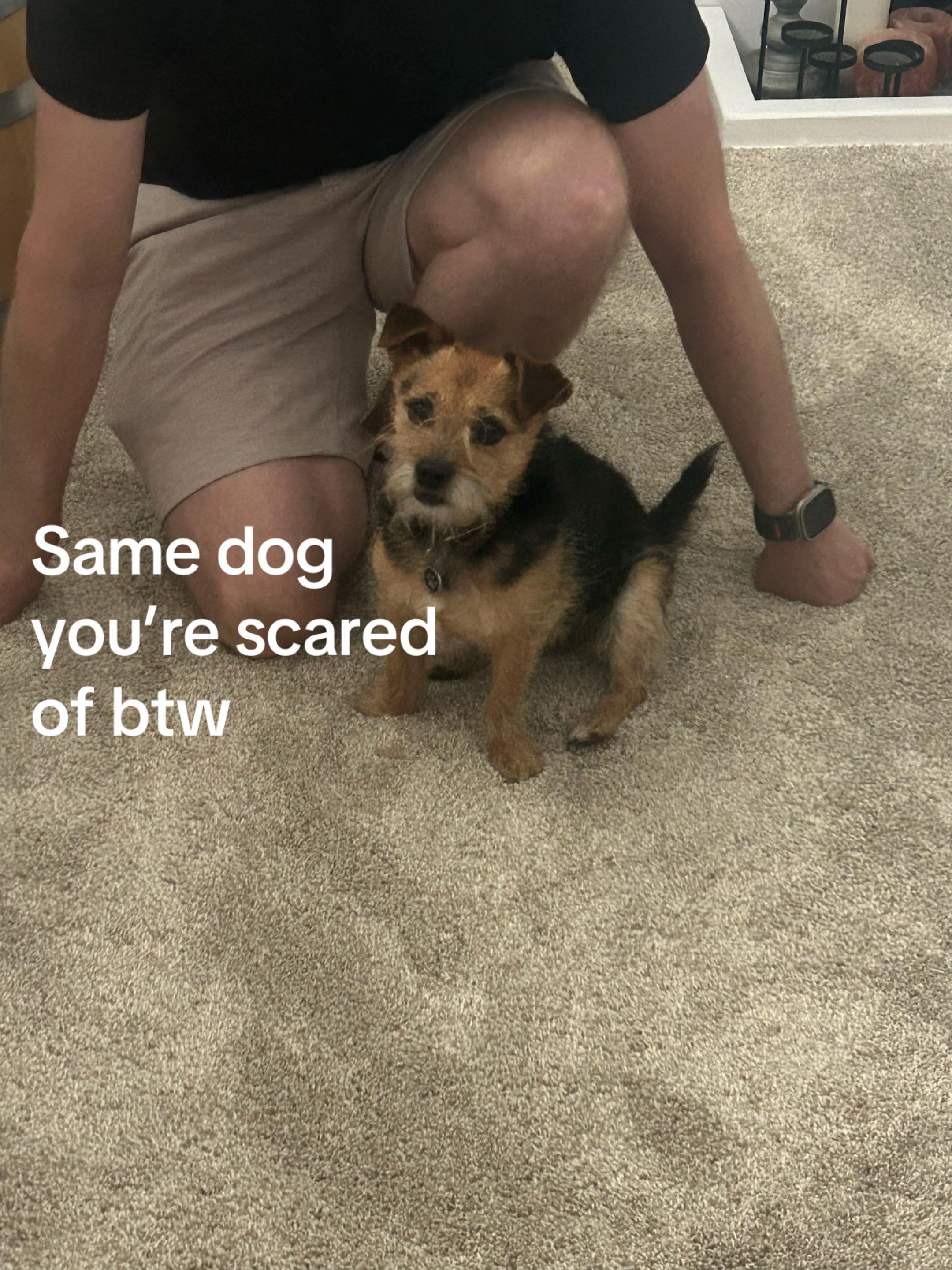 @Abi