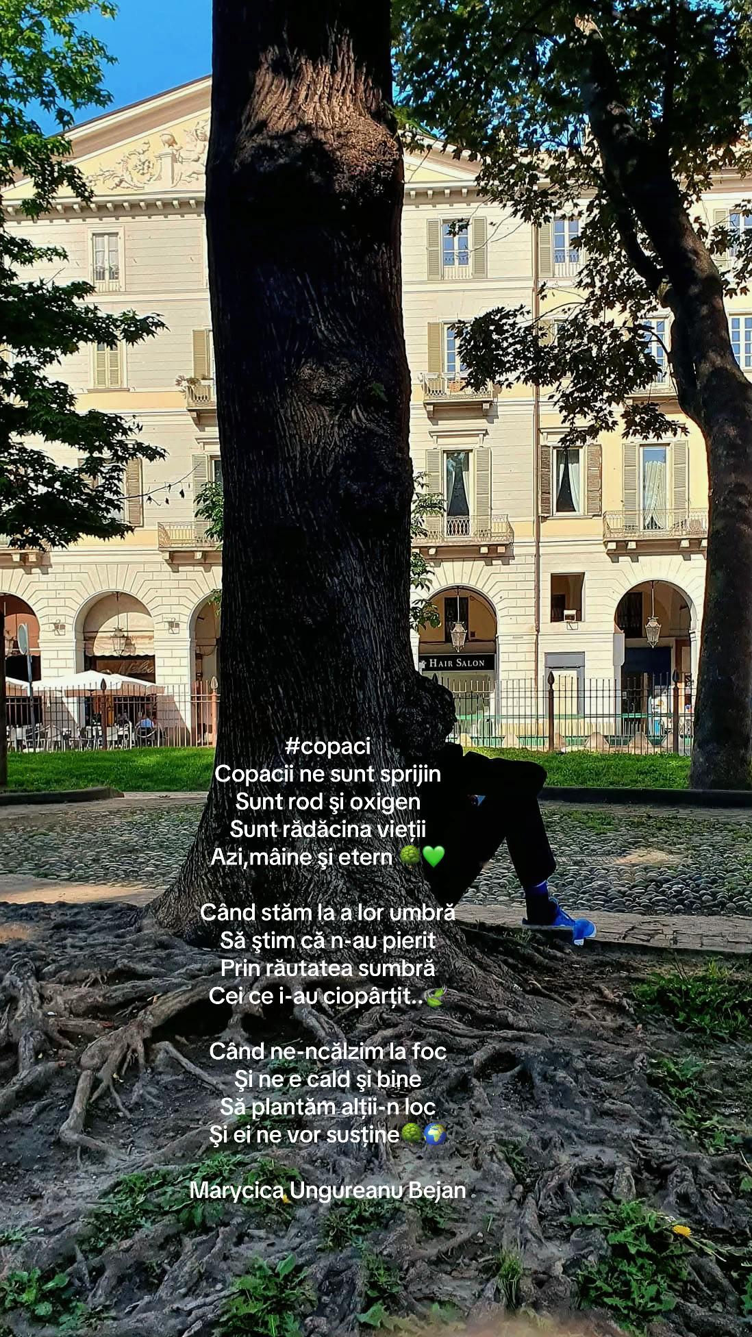 @Marycica Ungureanu Bejan