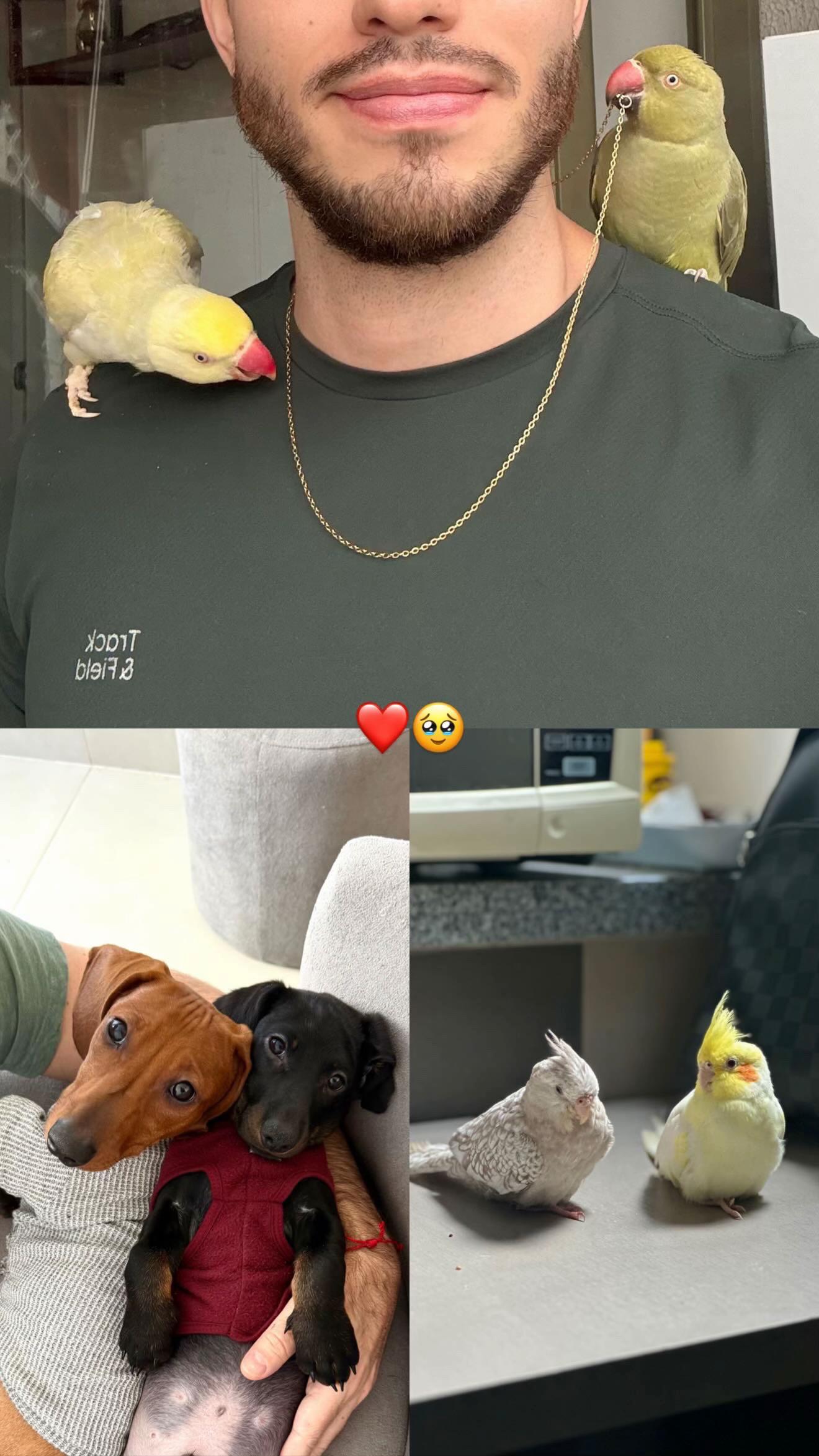 @Lucasbarros