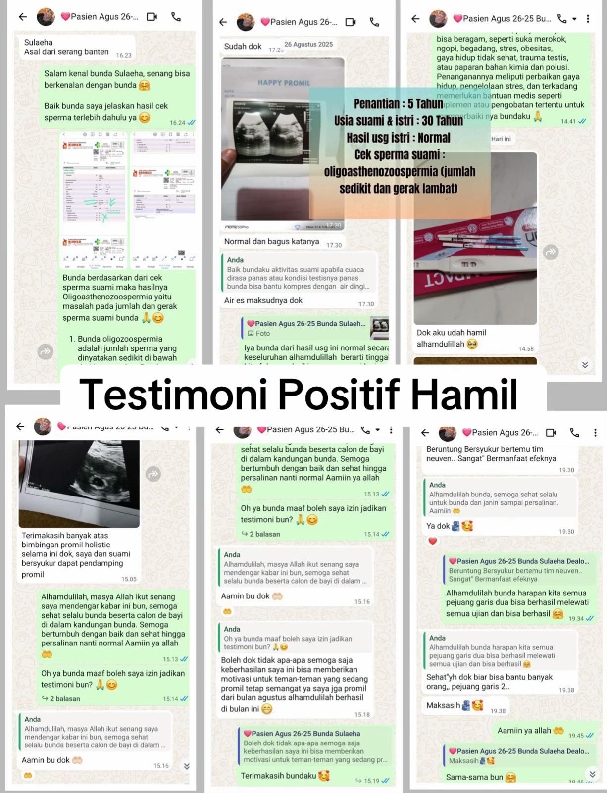 @promilholistik