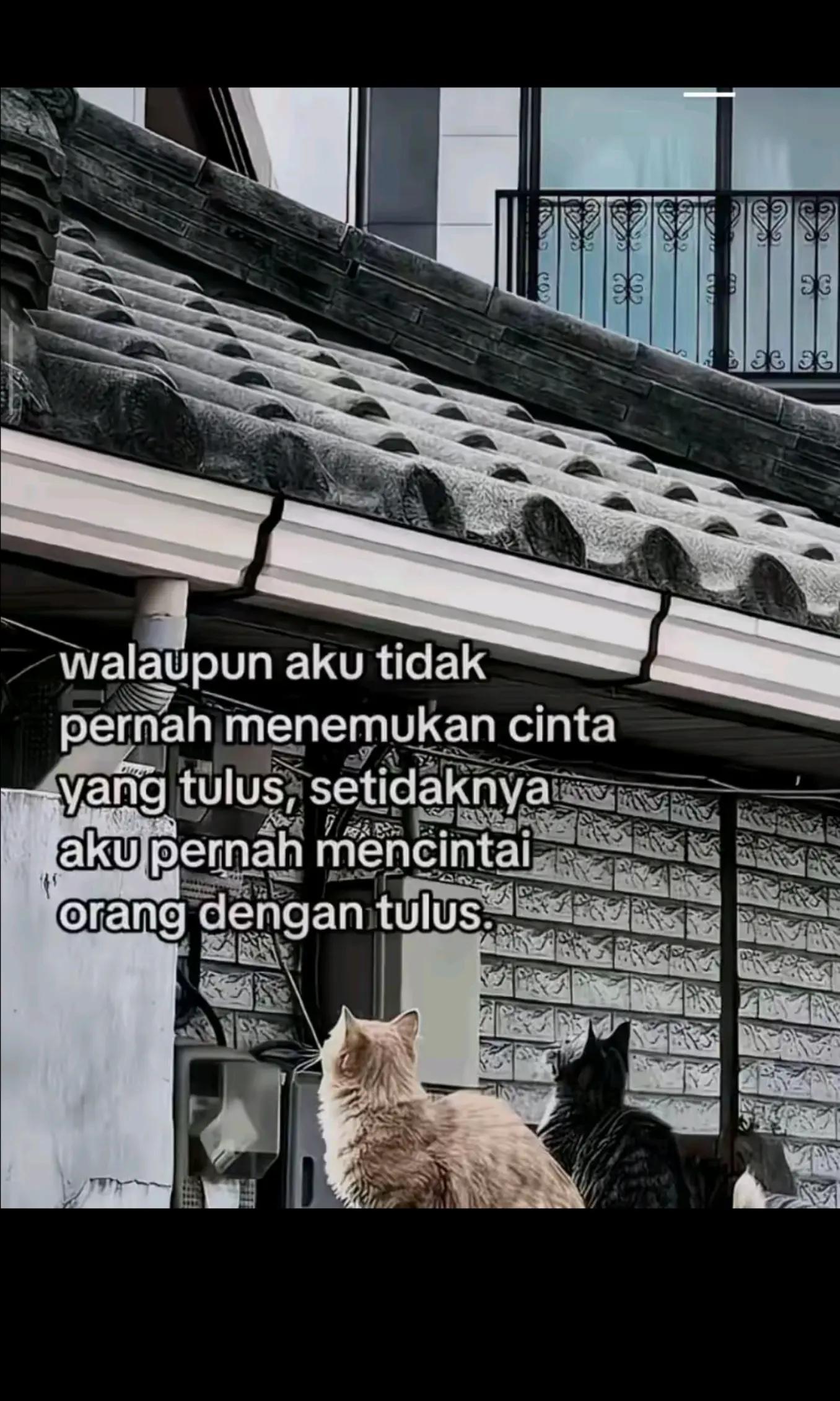 @ᥫ᭡𝑪𝒂𝒏𝒄𝒆𝒓ᥫ᭡