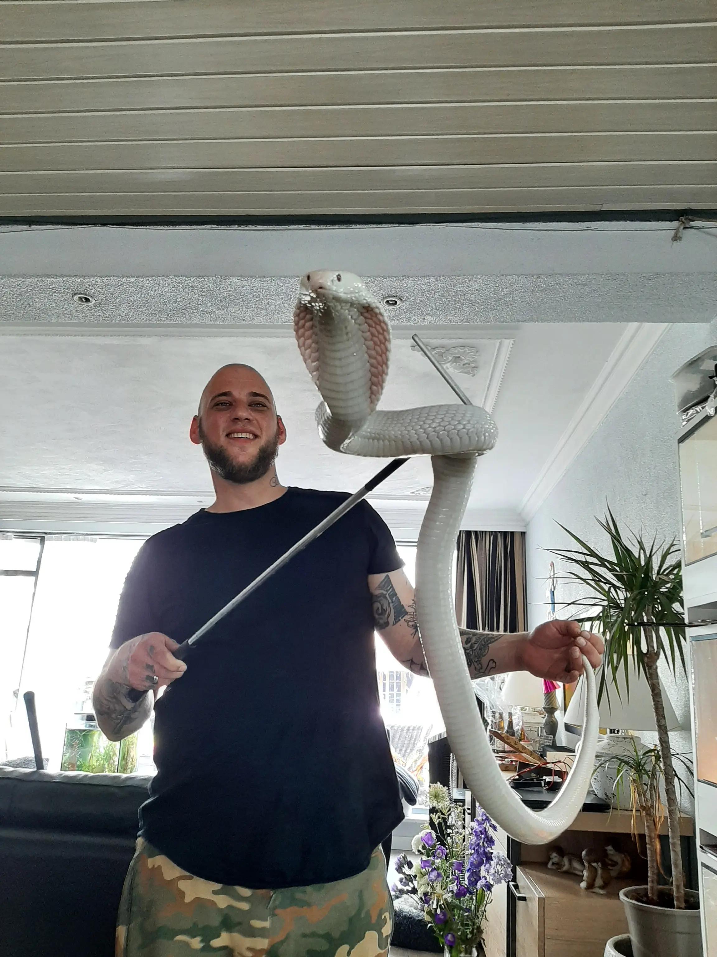 @SnakeBiteNL