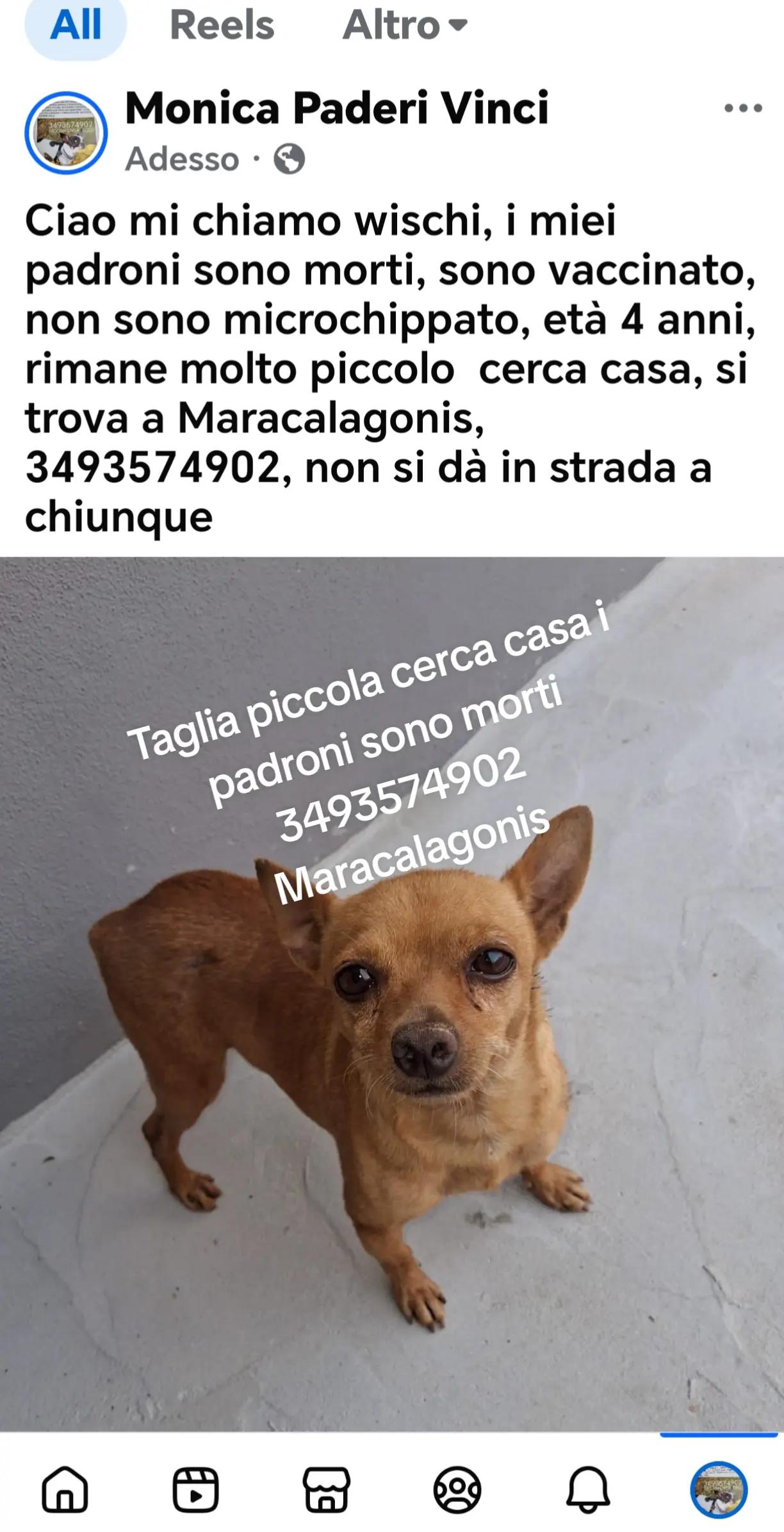 @GLI Sgomberi DI Monica paderi