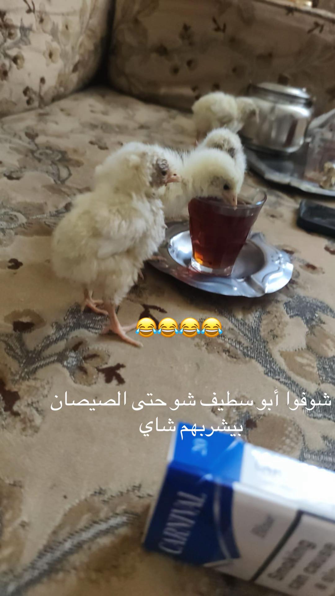 @nadia_sy01