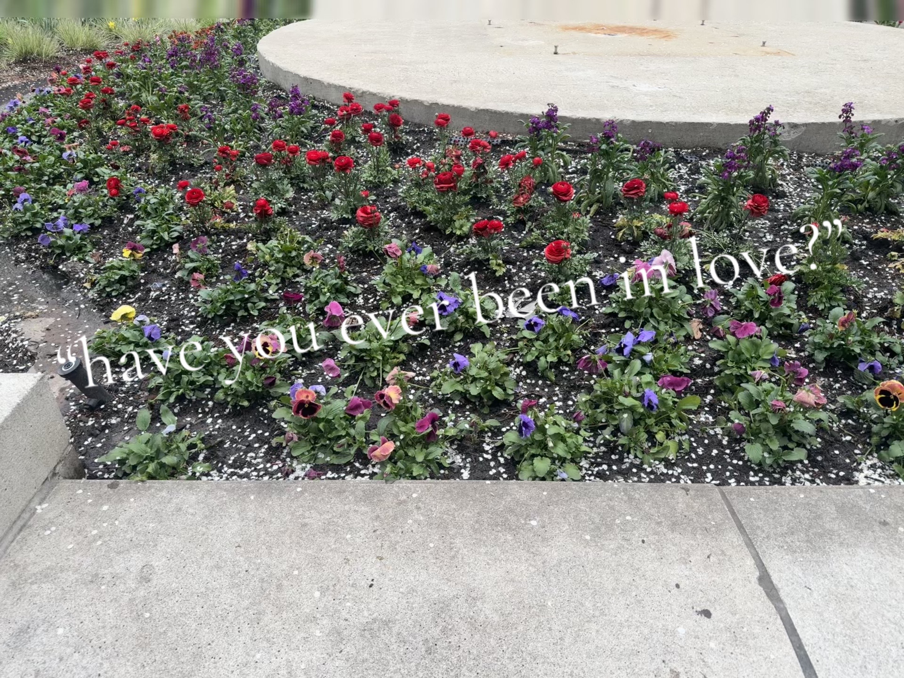 @🥀𝓐𝓾𝓽𝓾𝓶𝓷🖤
