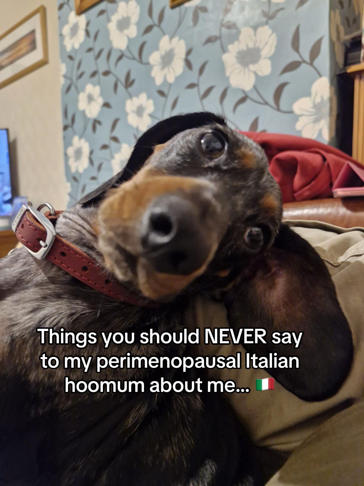 @dibblydobbly_dax
