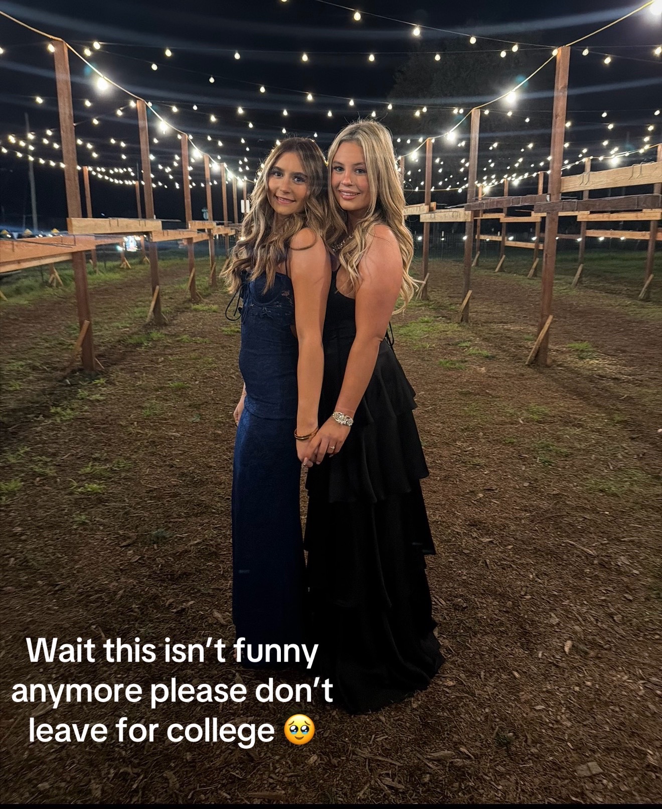 @kylie.colletto