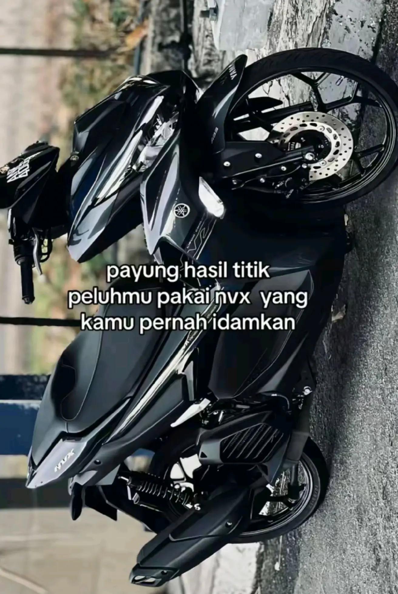 @Apiqqqqqqqqq