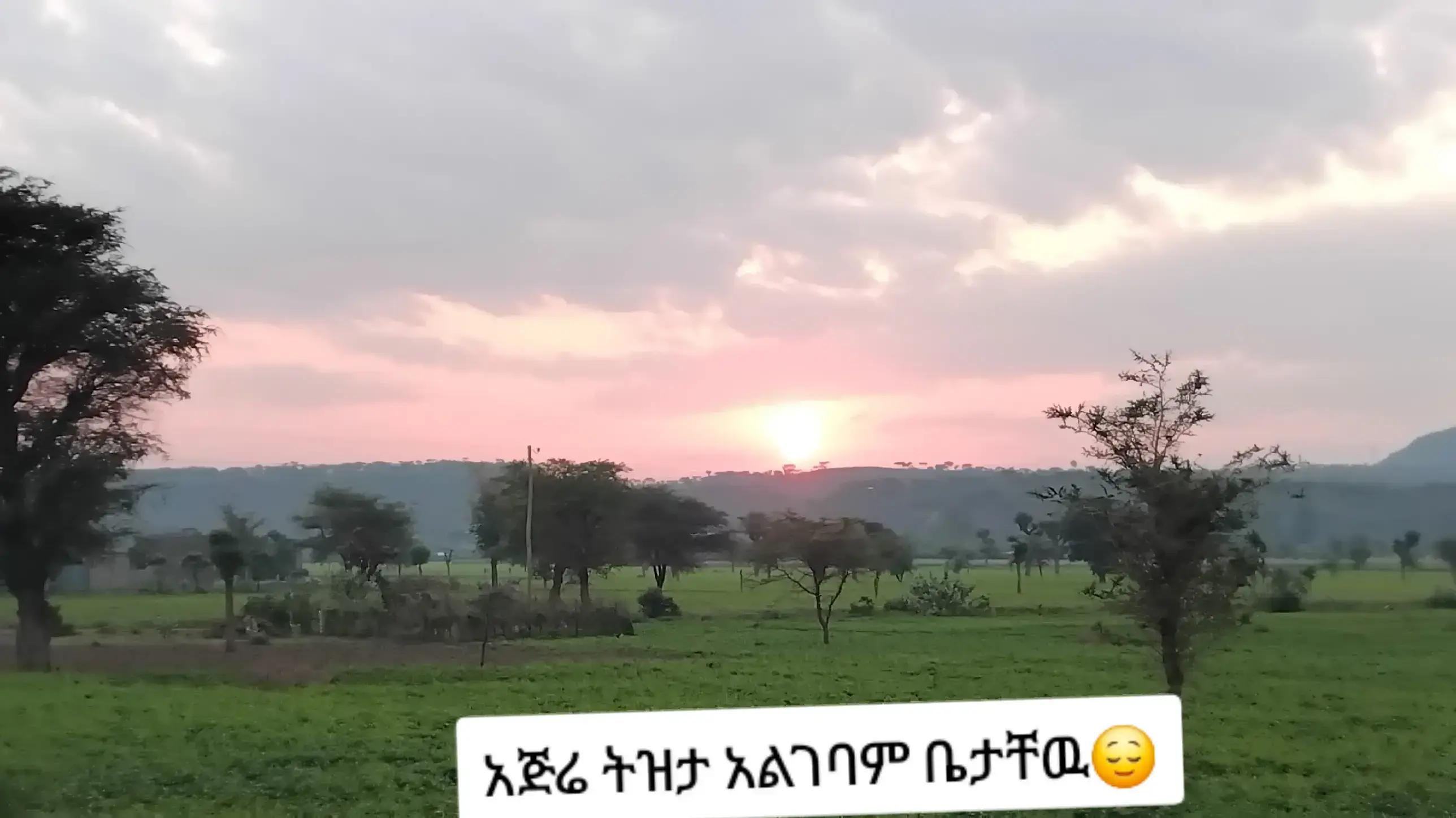 @ሳራይቱ የአብርሃም ሚስት🌸