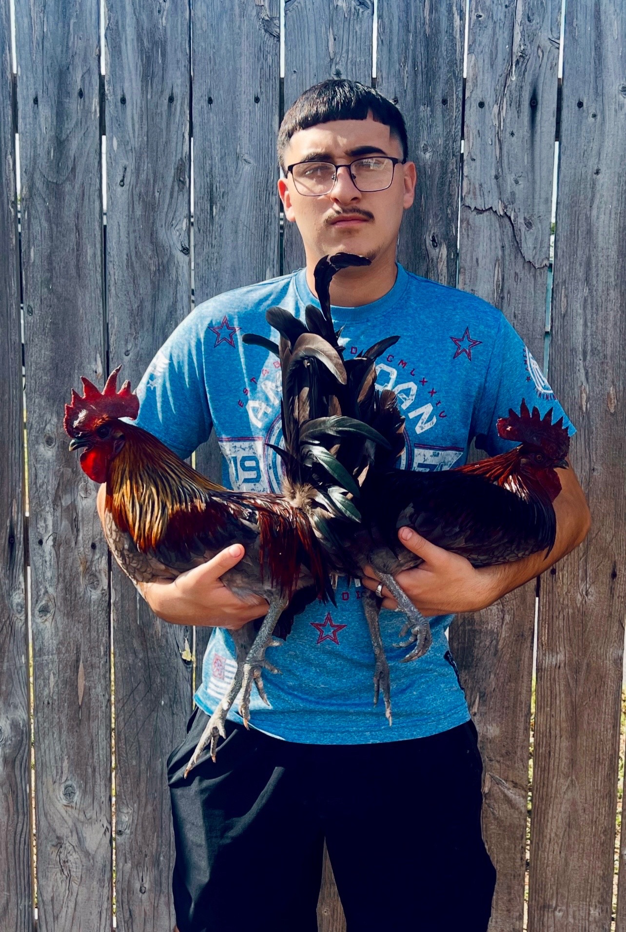 @Venturas mug gamefowl