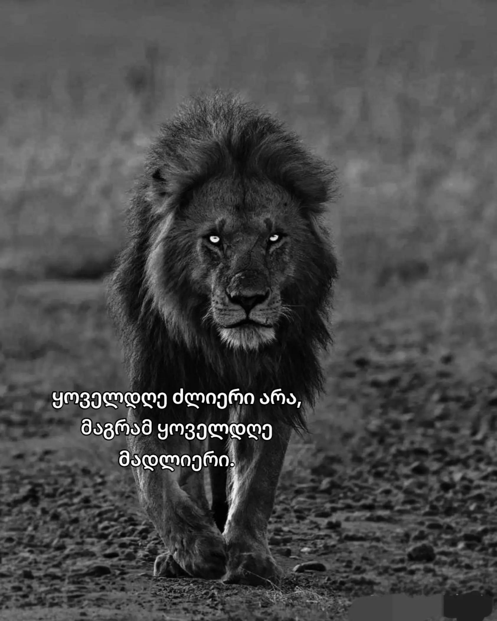 @Shako ๐ฌ๐ช๐ค๐ฉ๐ช