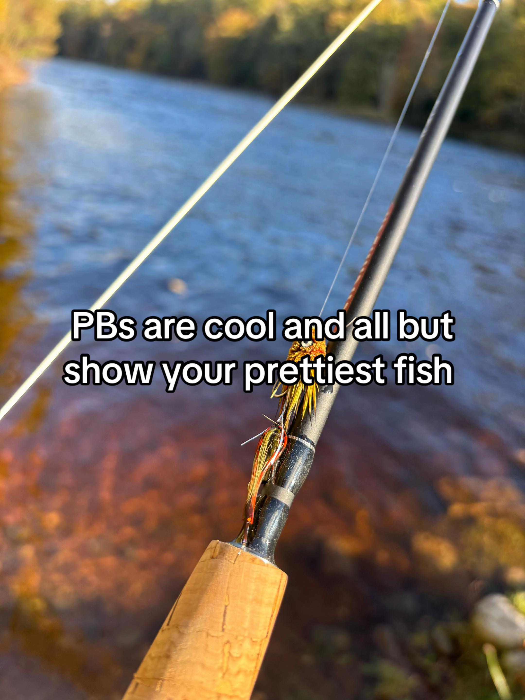 @dryflyguy15
