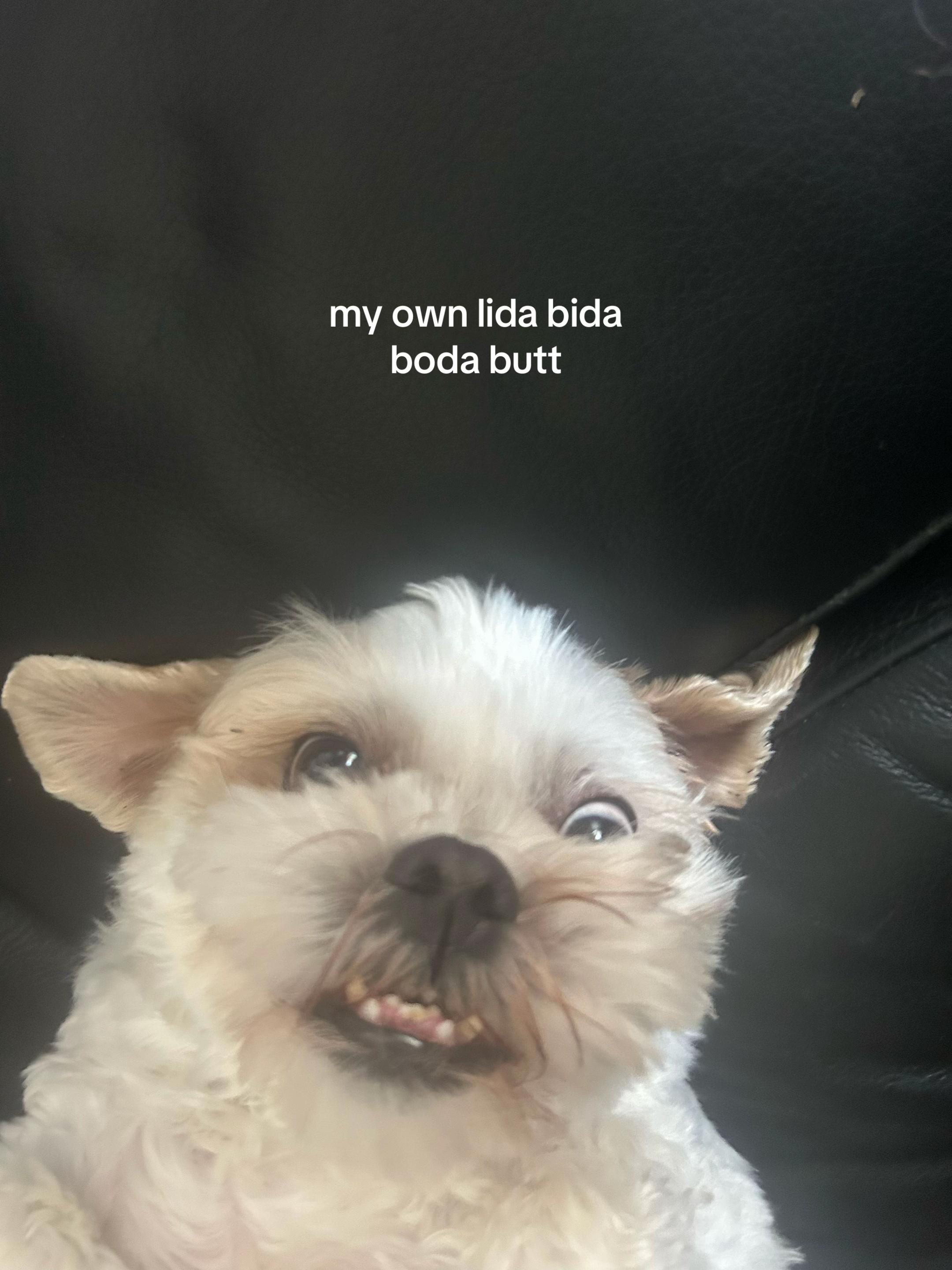 @rubysspam