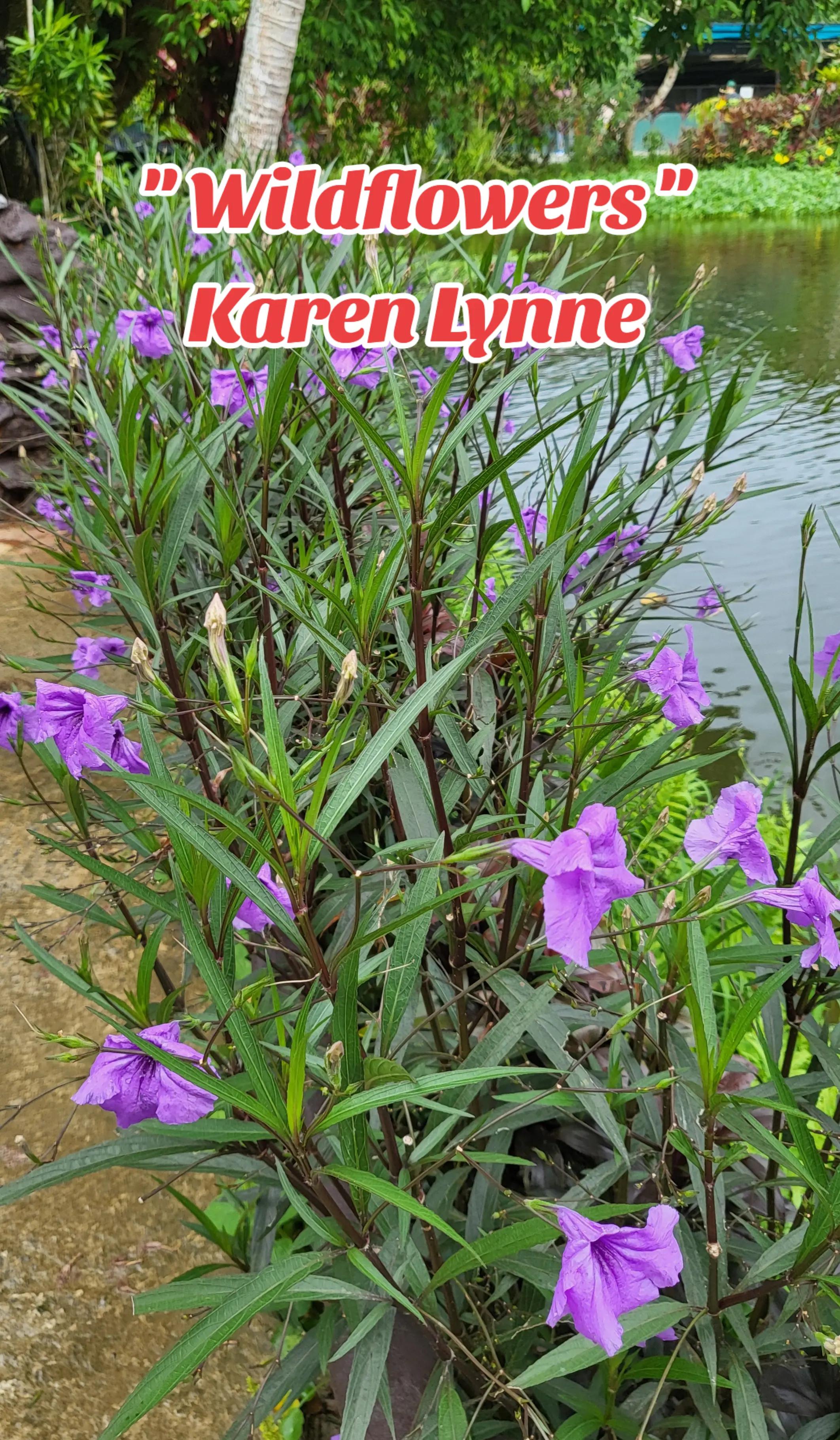 @SK Penev
