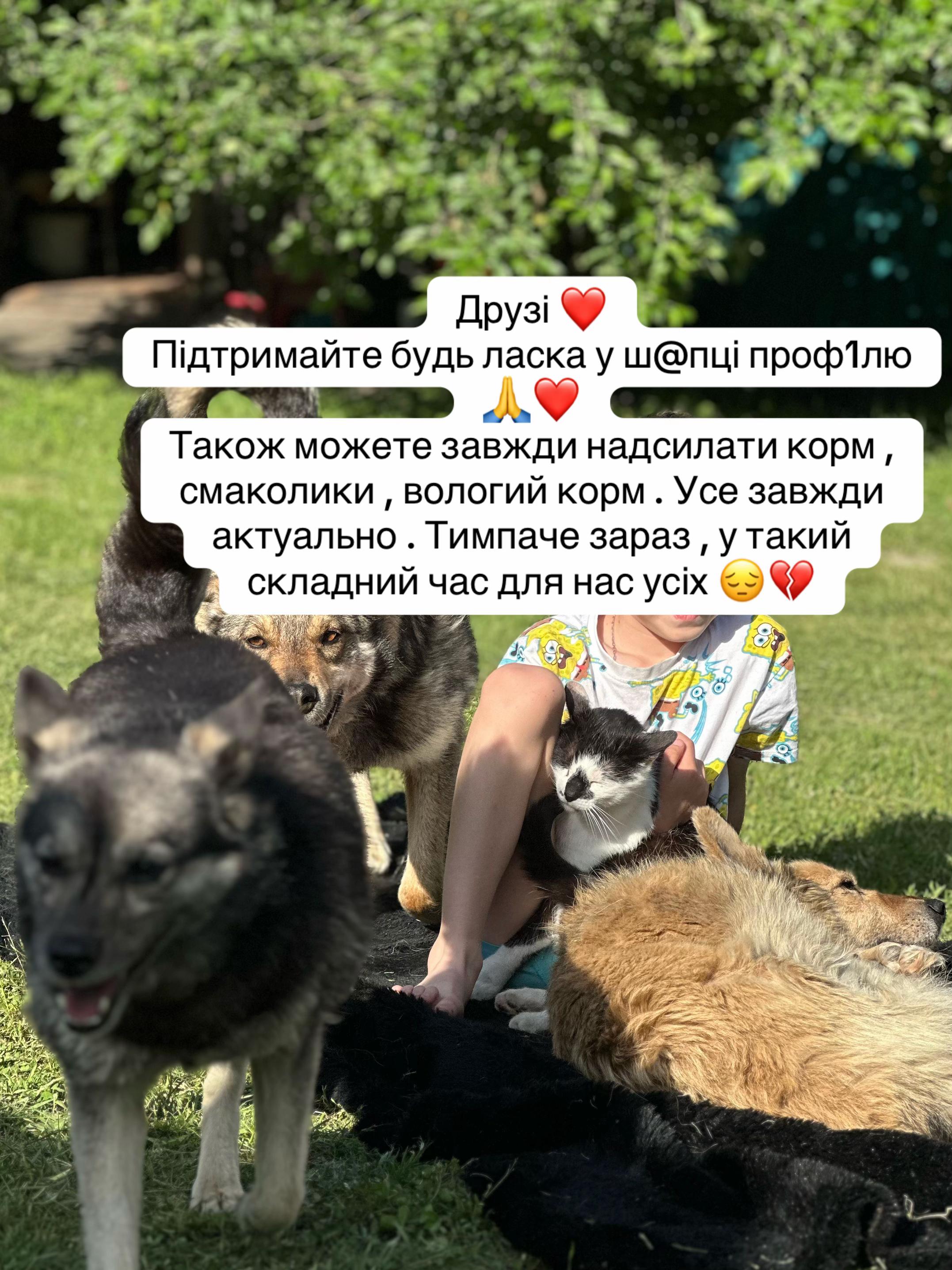 @tanya.help.animal