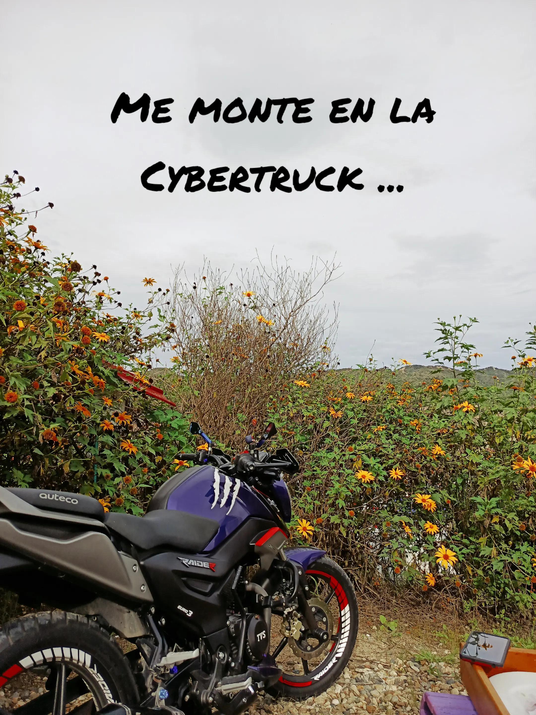 @A.E.V.C