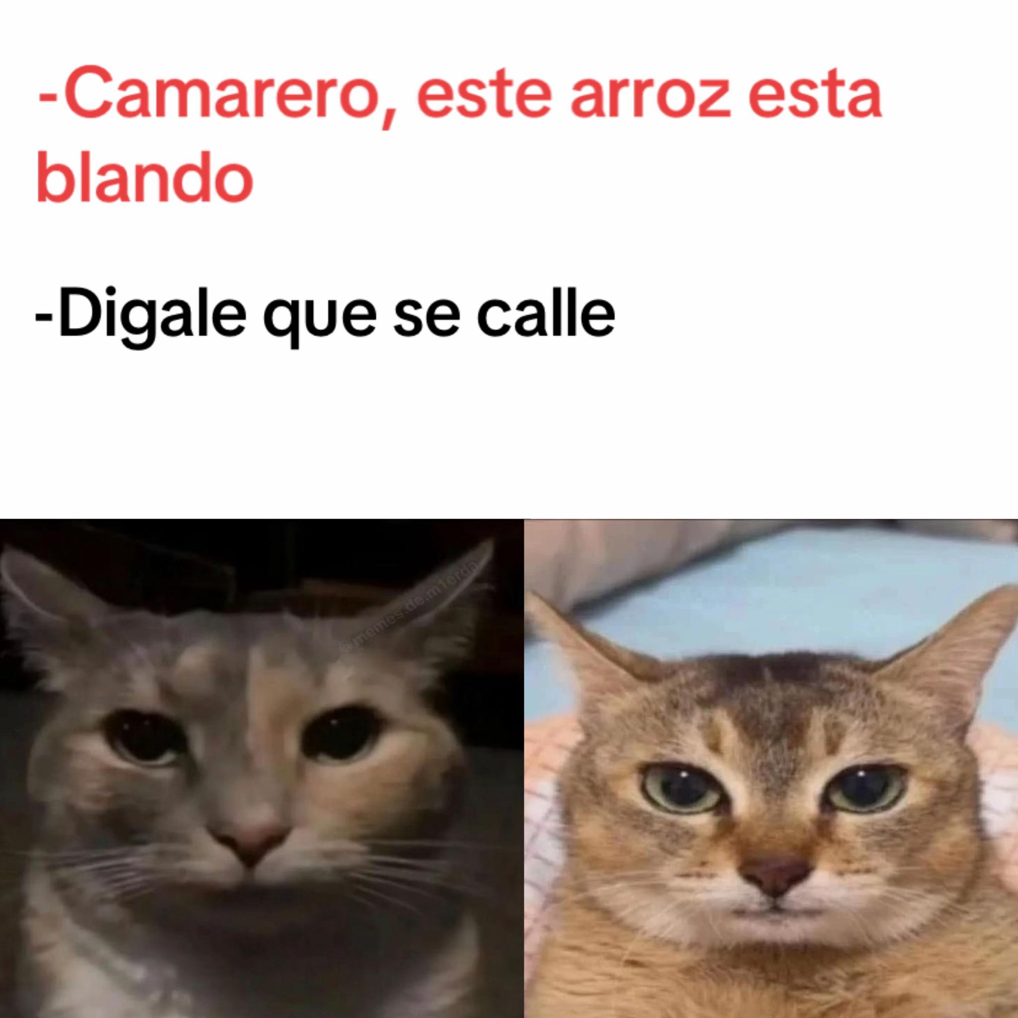 @momazosnegromarronjeje