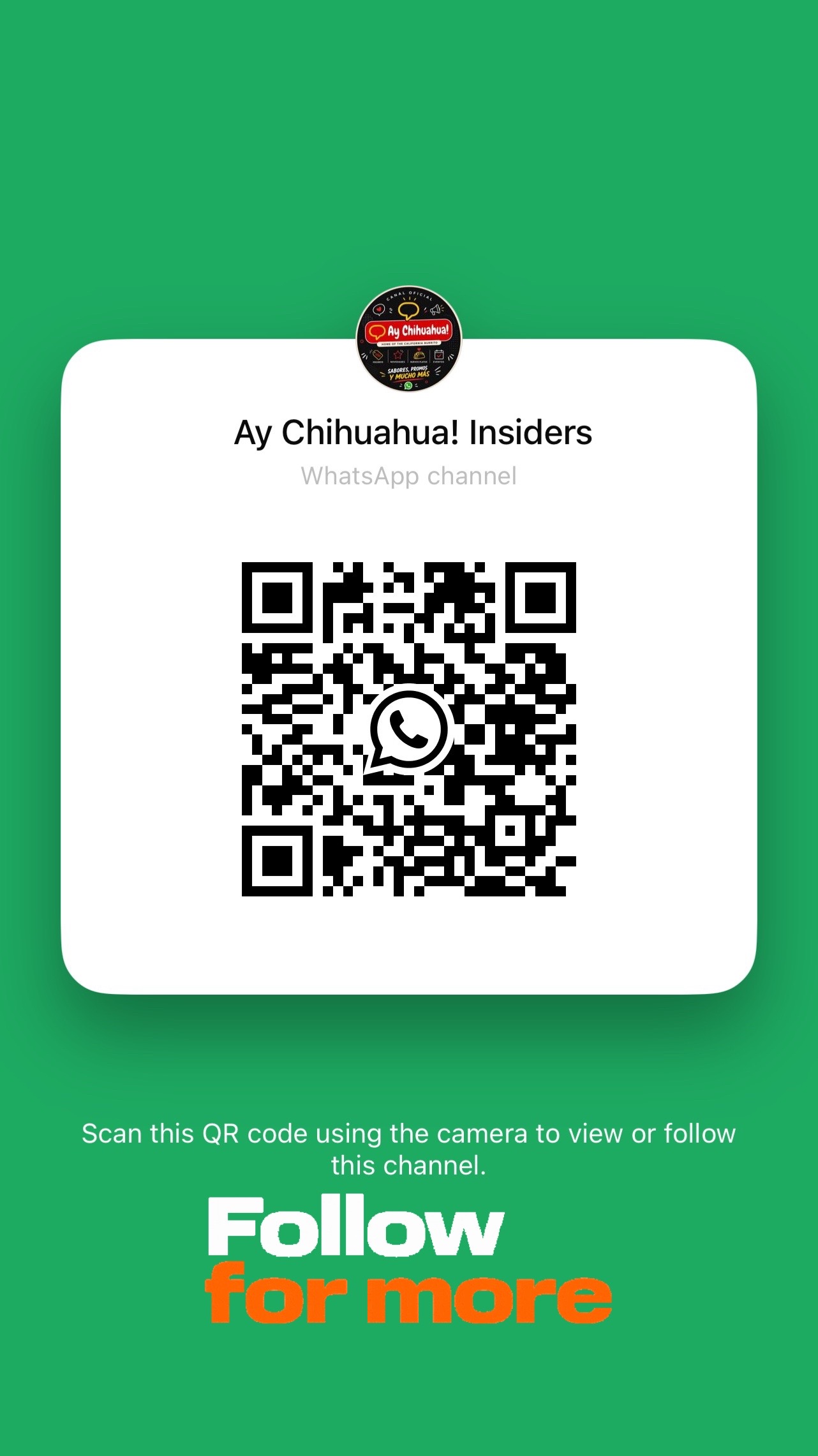 @Ay Chihuahua!