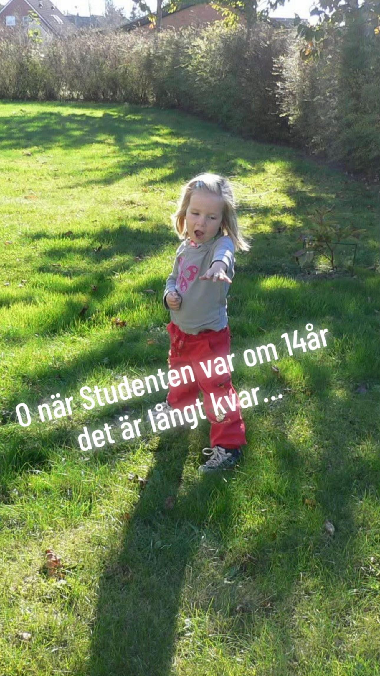 @FLABBENMEDIG