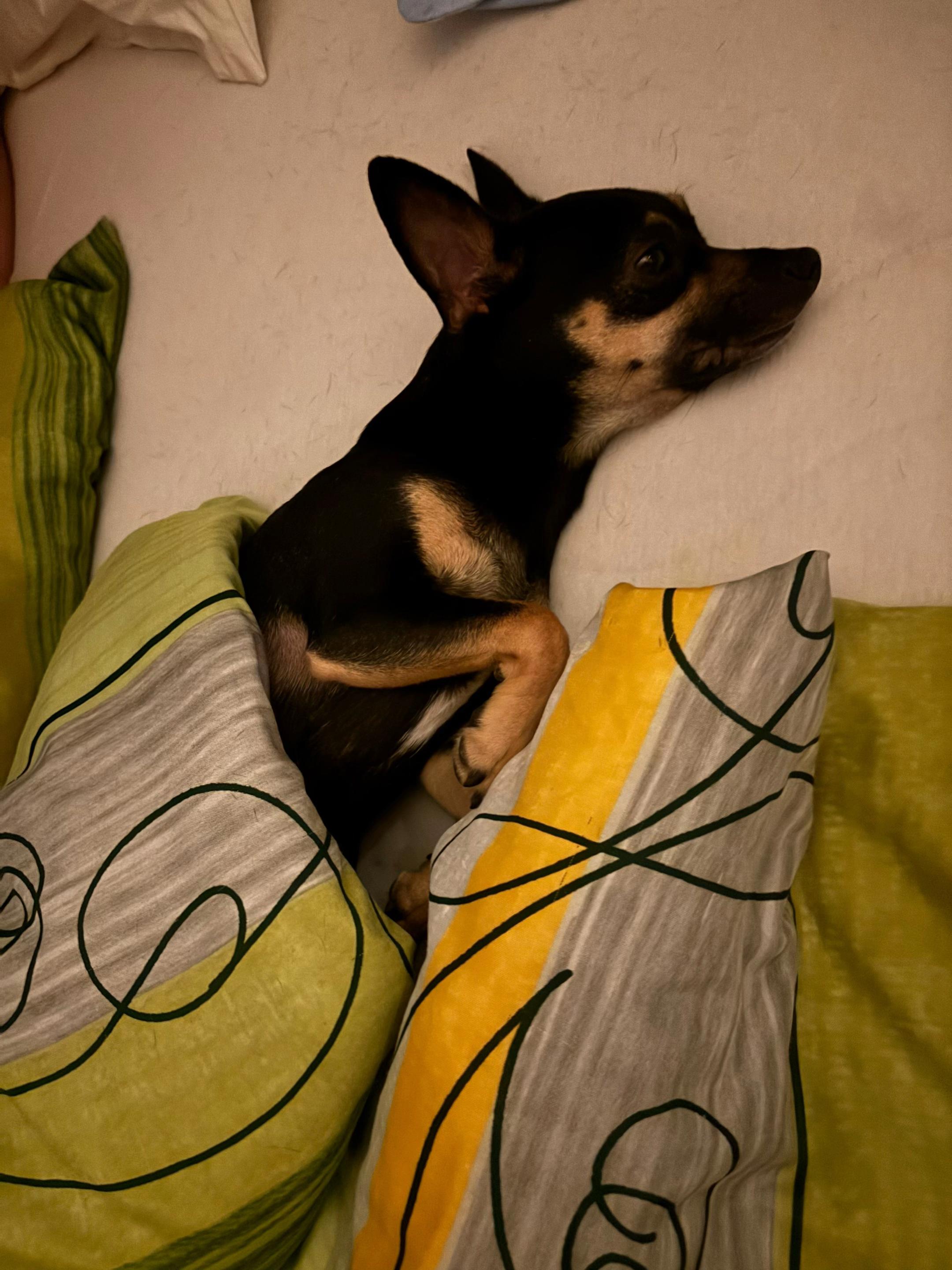 @Mo&Gi Life 🐾❤️🥰