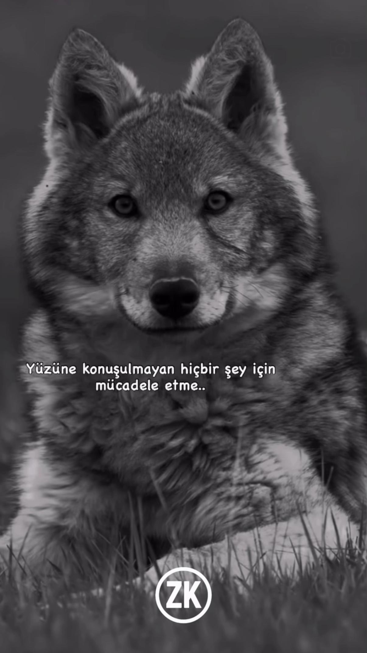 @Bülent ERKUŞ