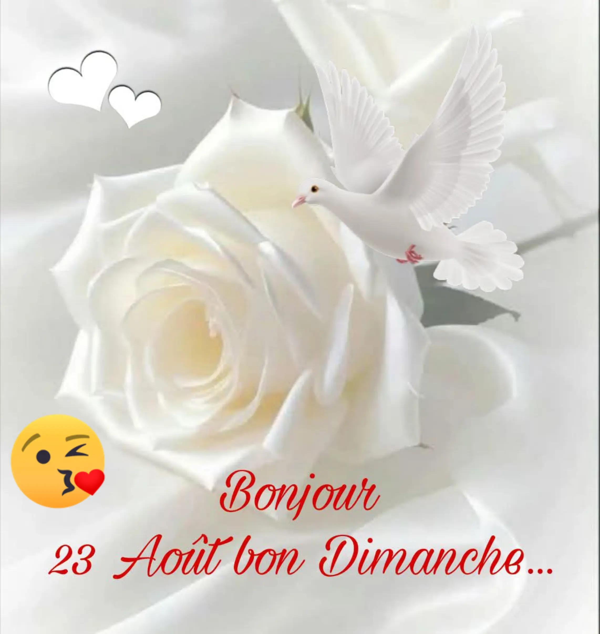 @Jasmin