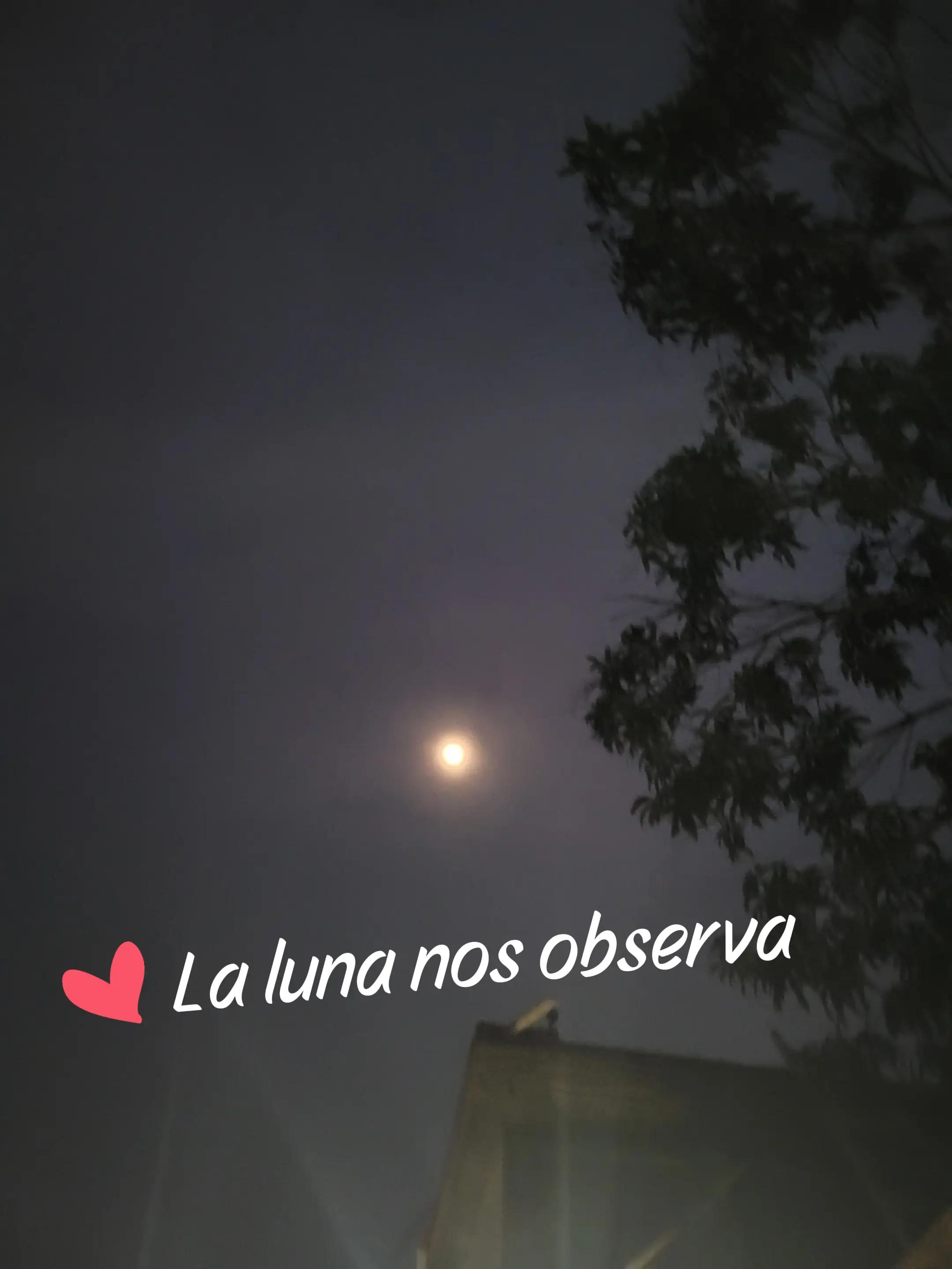 @lucymanzano