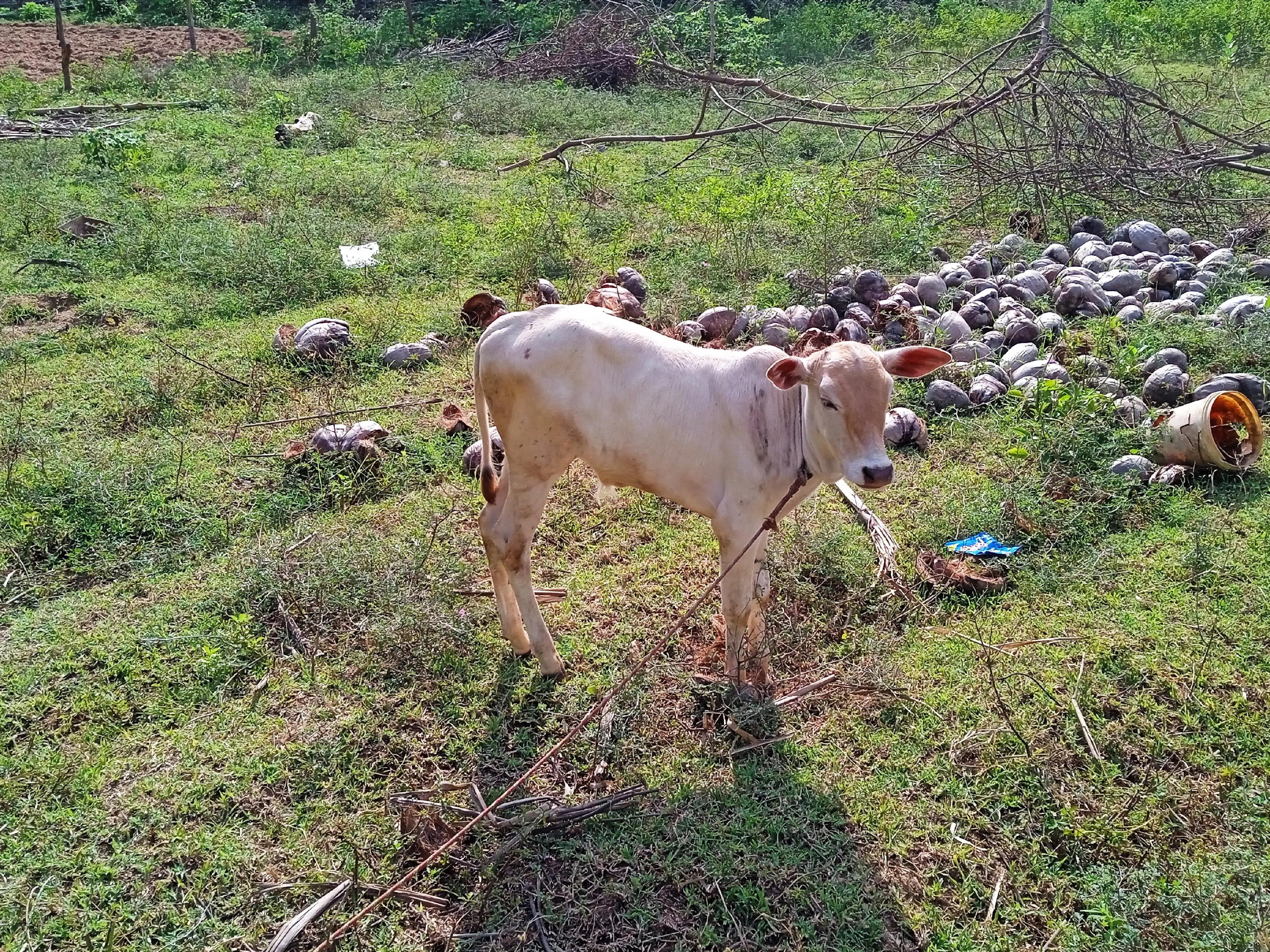 @Karthik Skmr
