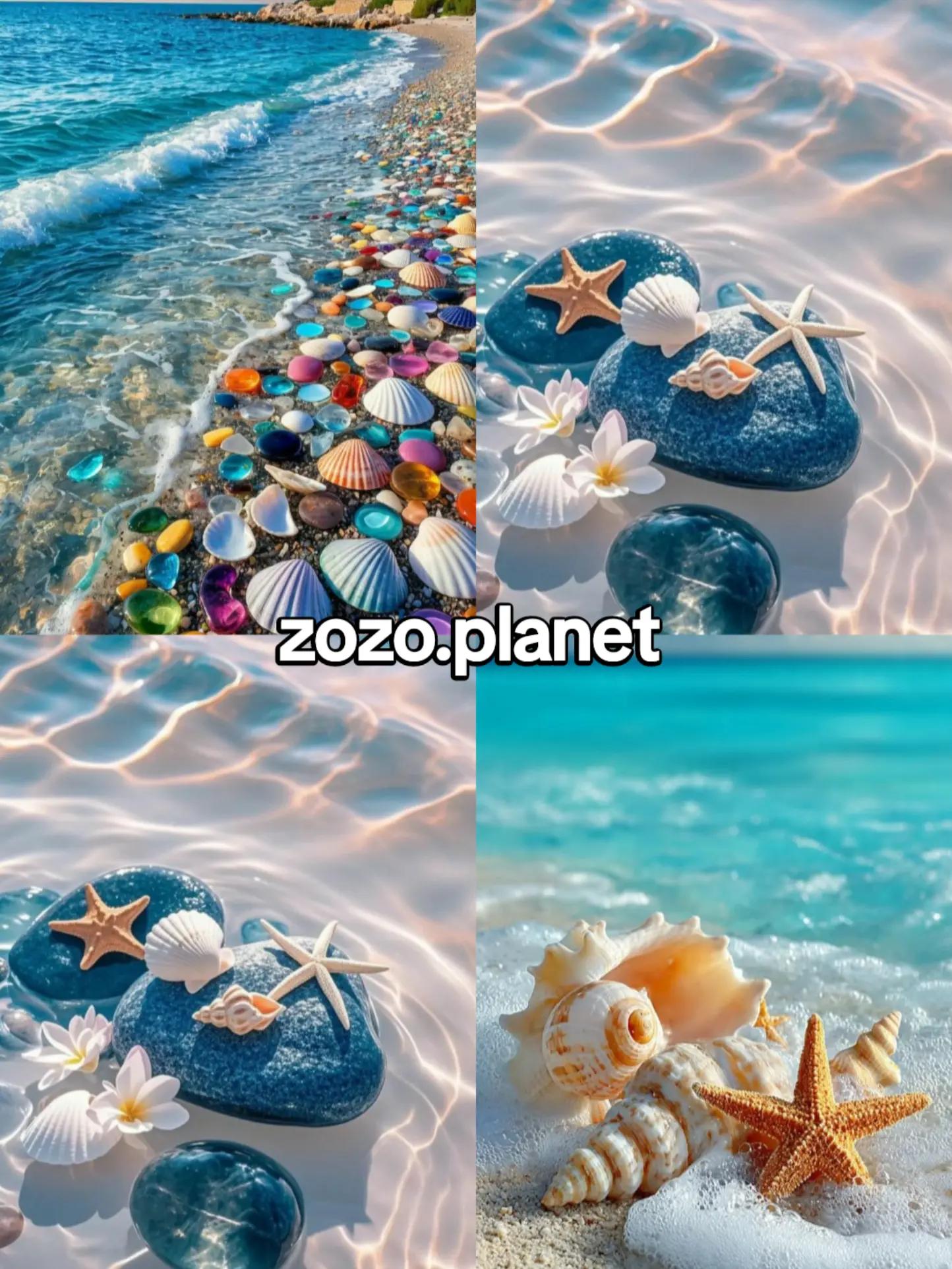 @zozo planet🐳 7oot.elarab🐳