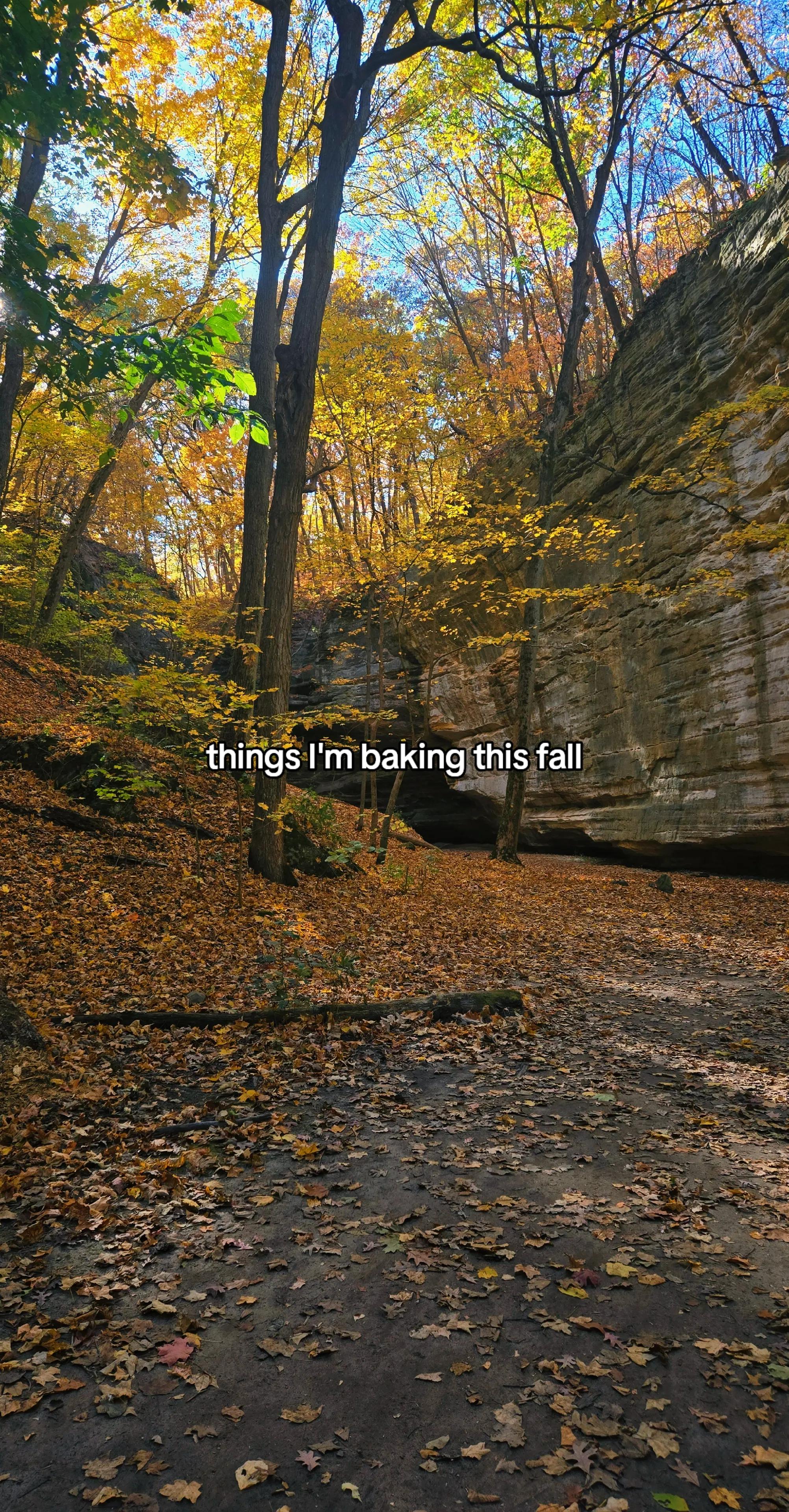 @Chenée Today | Baking Recipes