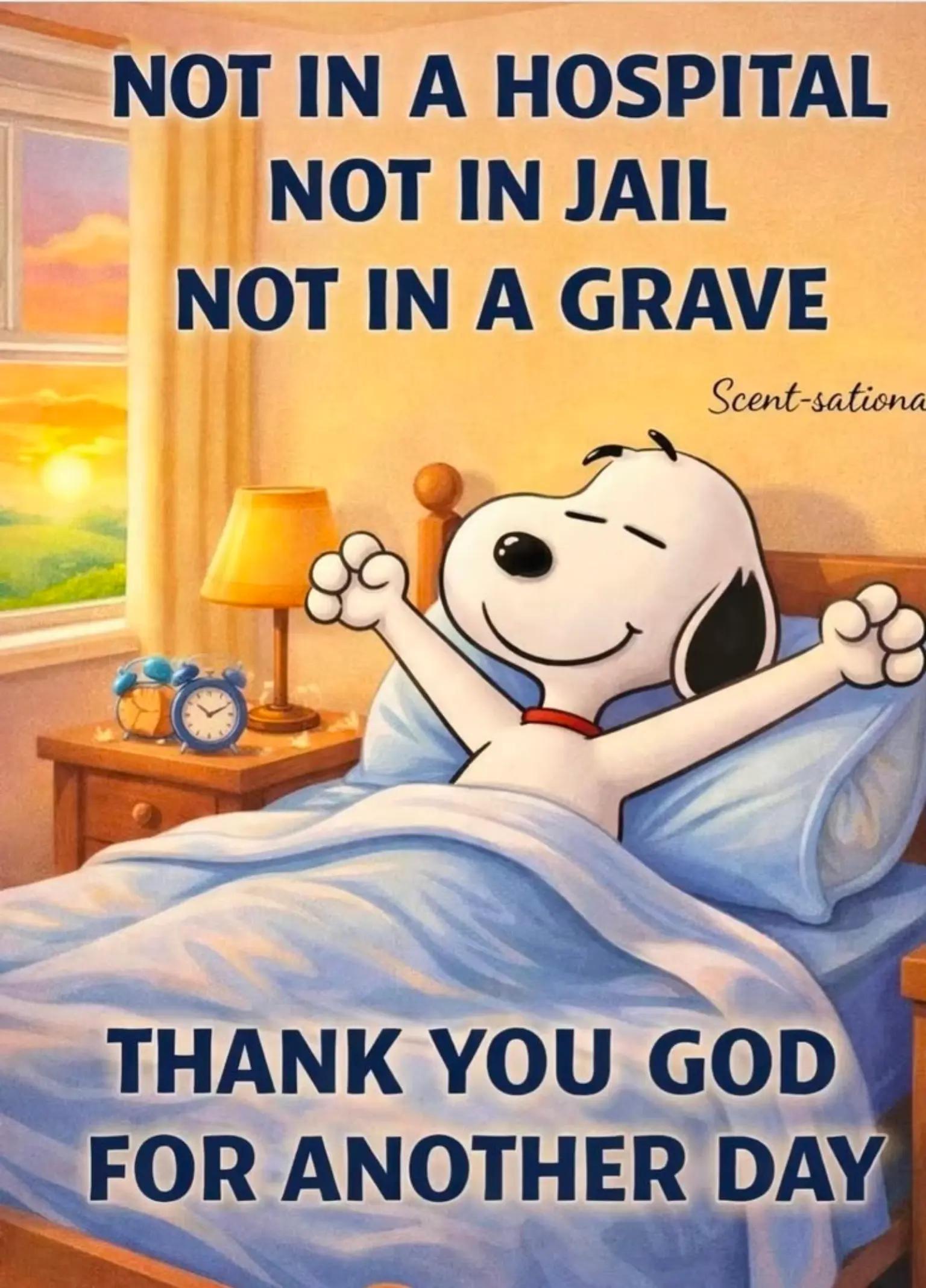 @Daily Inspiration